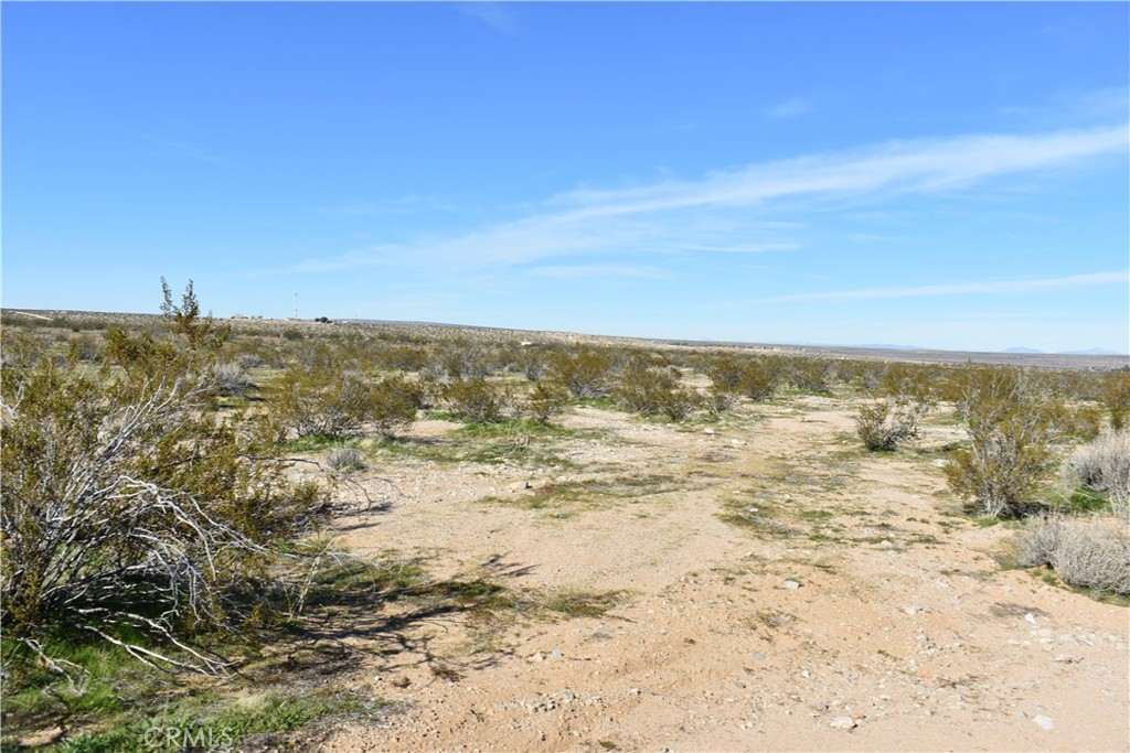 24 Frontier Road Helendale, CA 92342 - Photo 10 of 31