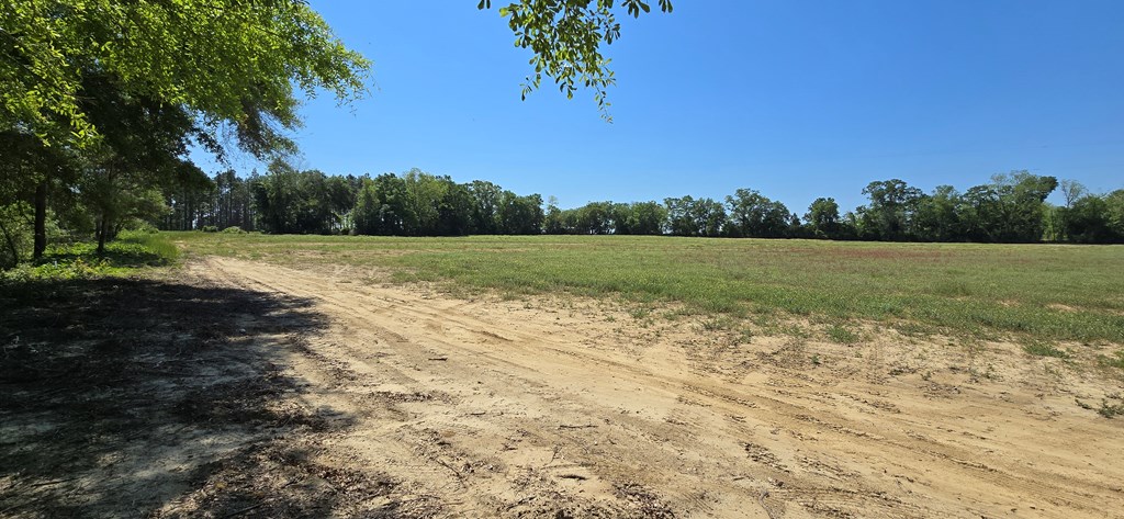 4.4-acres Lot 8 Grady Garner Road Slocomb, AL 36375 - Photo 8 of 18 Gallery Image 8