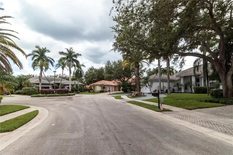 a palm tree sitting in a backyard of a house
