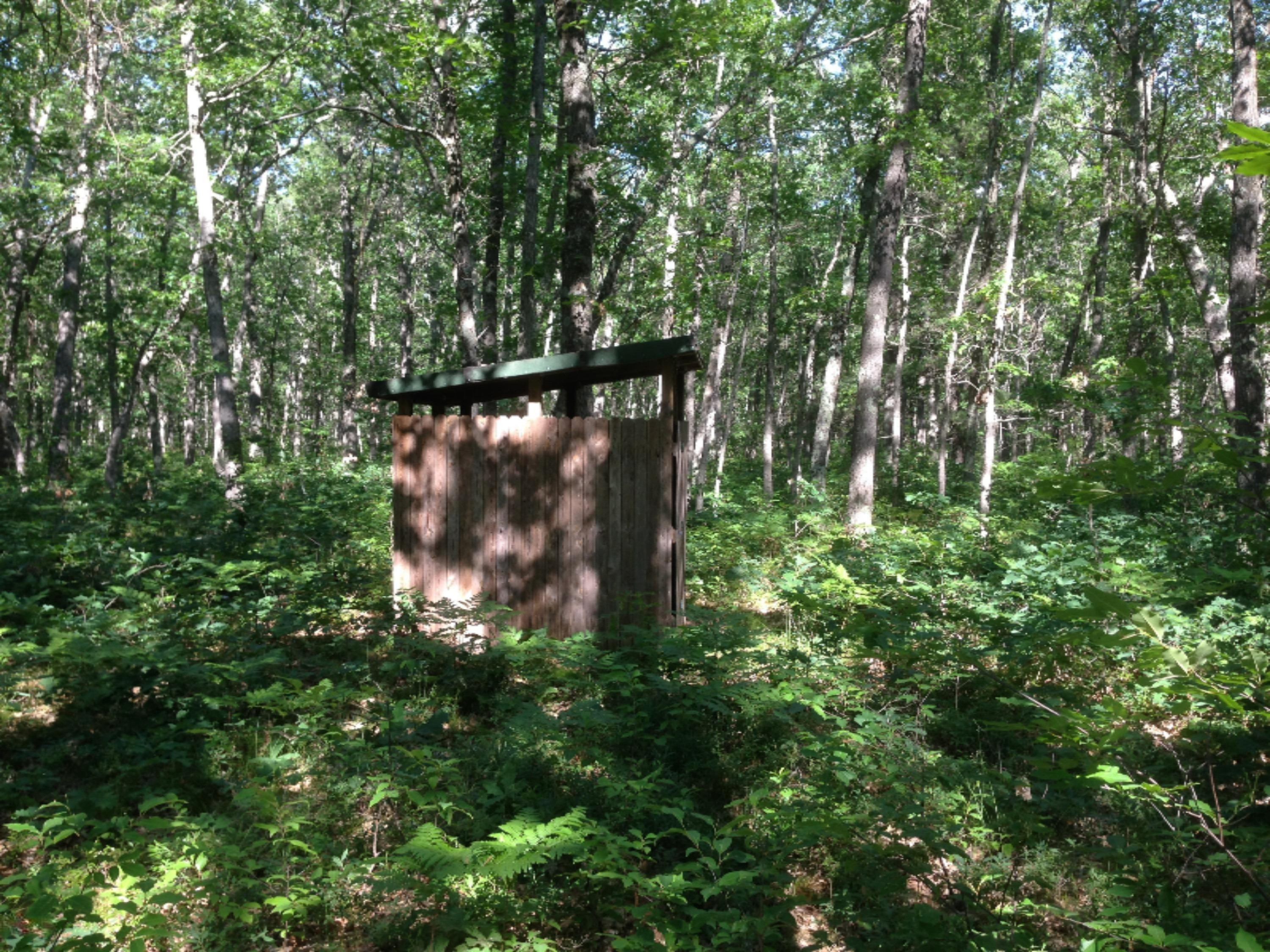 Old Stronach Road Free Soil, MI 49411 - Photo 11 of 13 Deer Blind on the 20 acres
