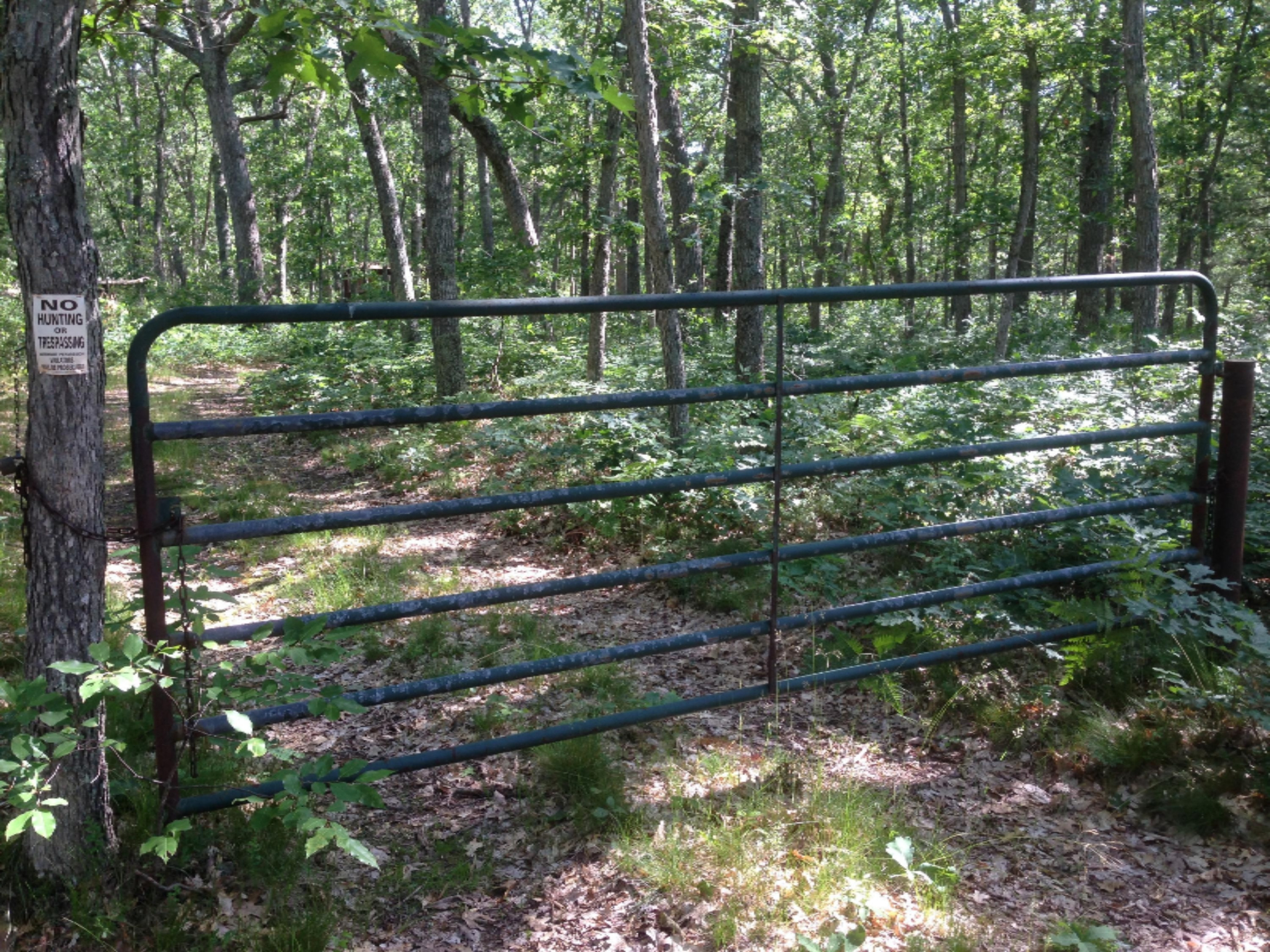 20 Acres, Old Stronach Rd, Suzanne Riley
