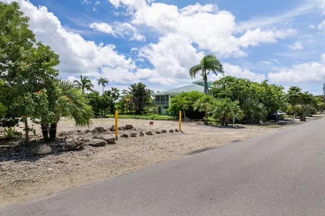 a view of a dry yard with wooden fence