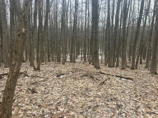 $2,500 | 9735 Pere Marquette Drive, Stanwood, MI 49346