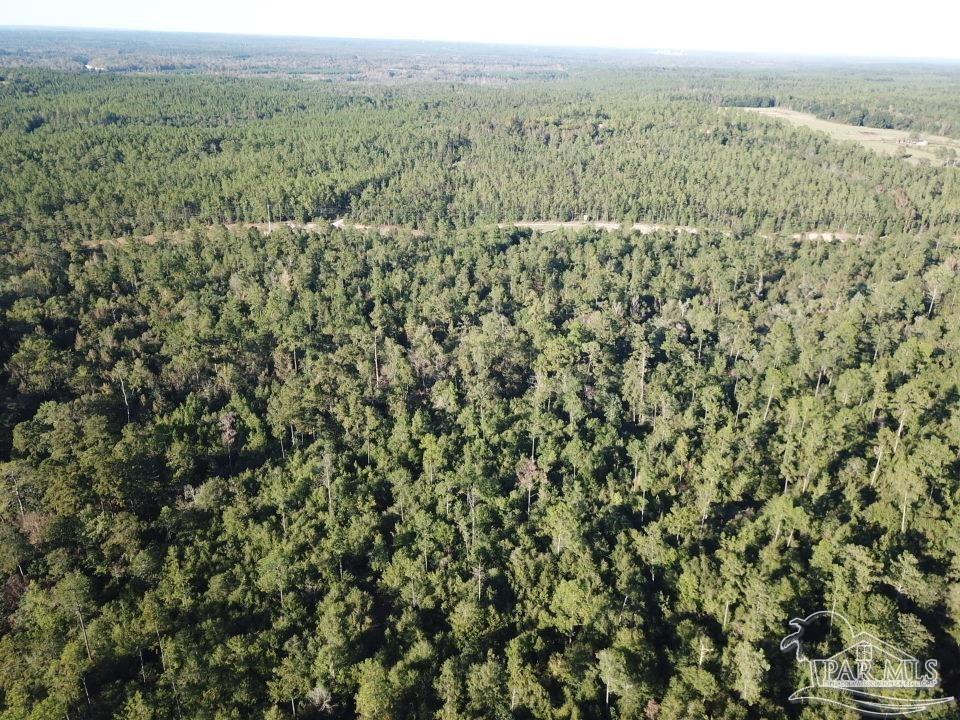 85-acres Wiley Scott Road Jay, FL 32565 - Photo 8 of 9