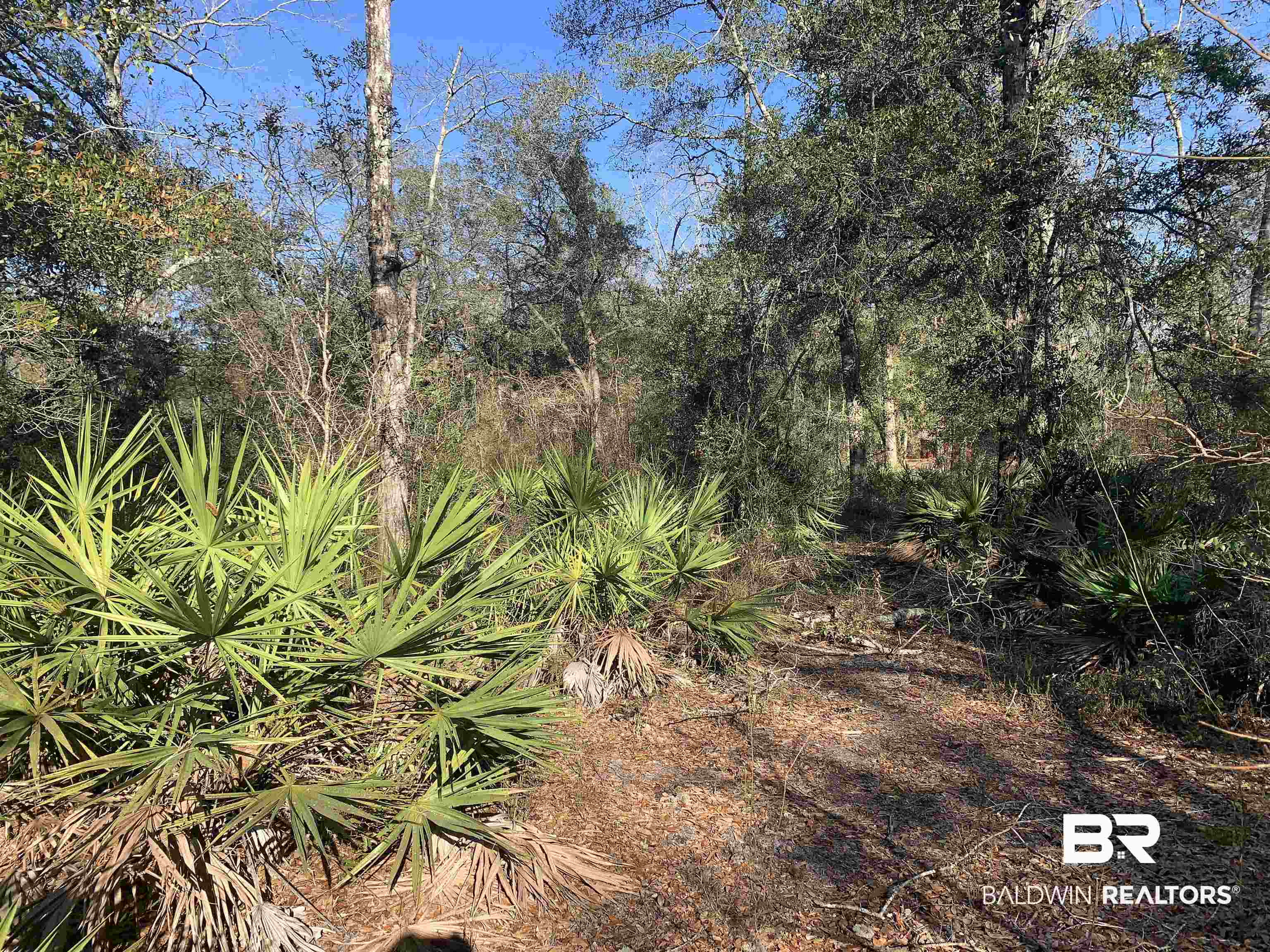 25270 Old Foley Road Elberta, AL 36530 - Photo 8 of 14