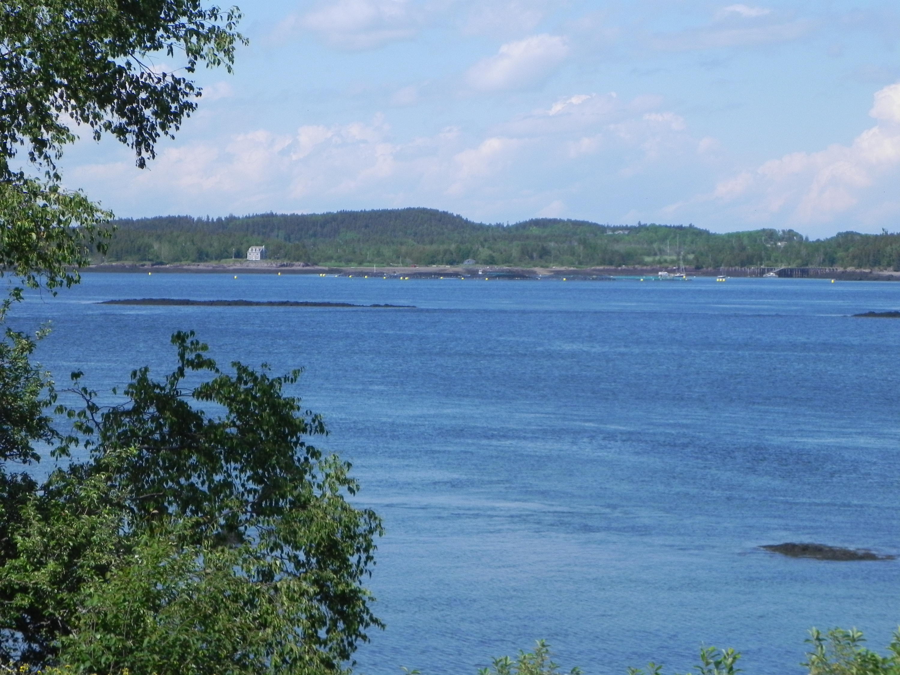 859 North Lubec Road Lubec, ME 04652 - Photo 47 of 51 DSCN8784