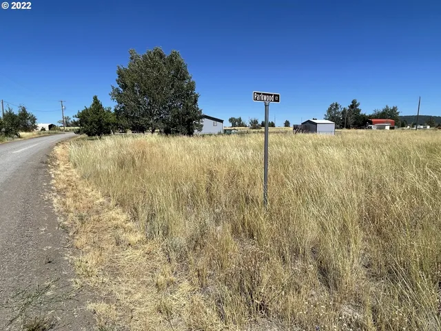 a view of ocean with large trees