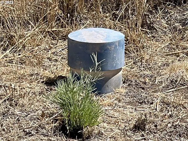 a bathroom with a toilet and a shower curtain