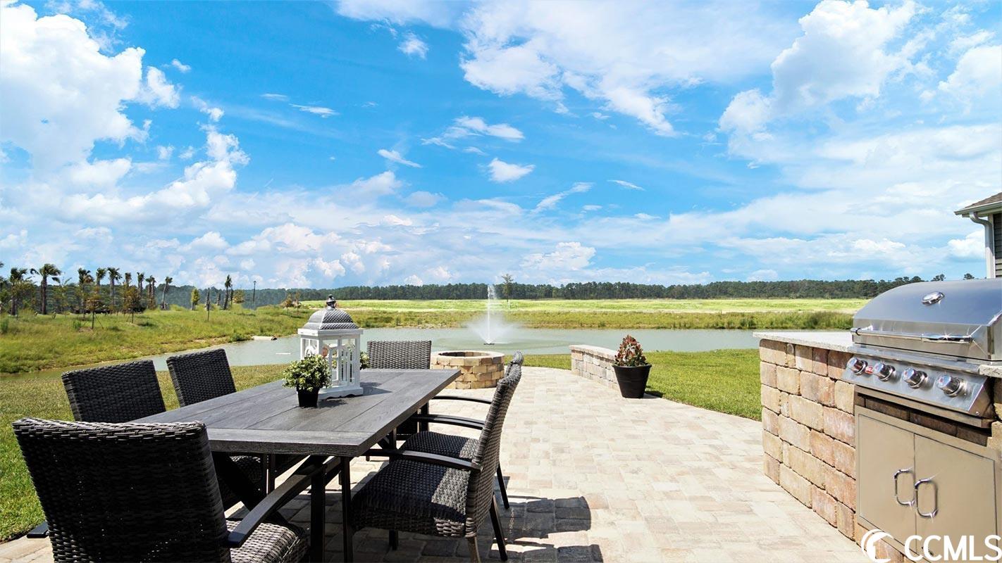 215 Bluestem Loop Little River, SC 29566 - Photo 8 of 8