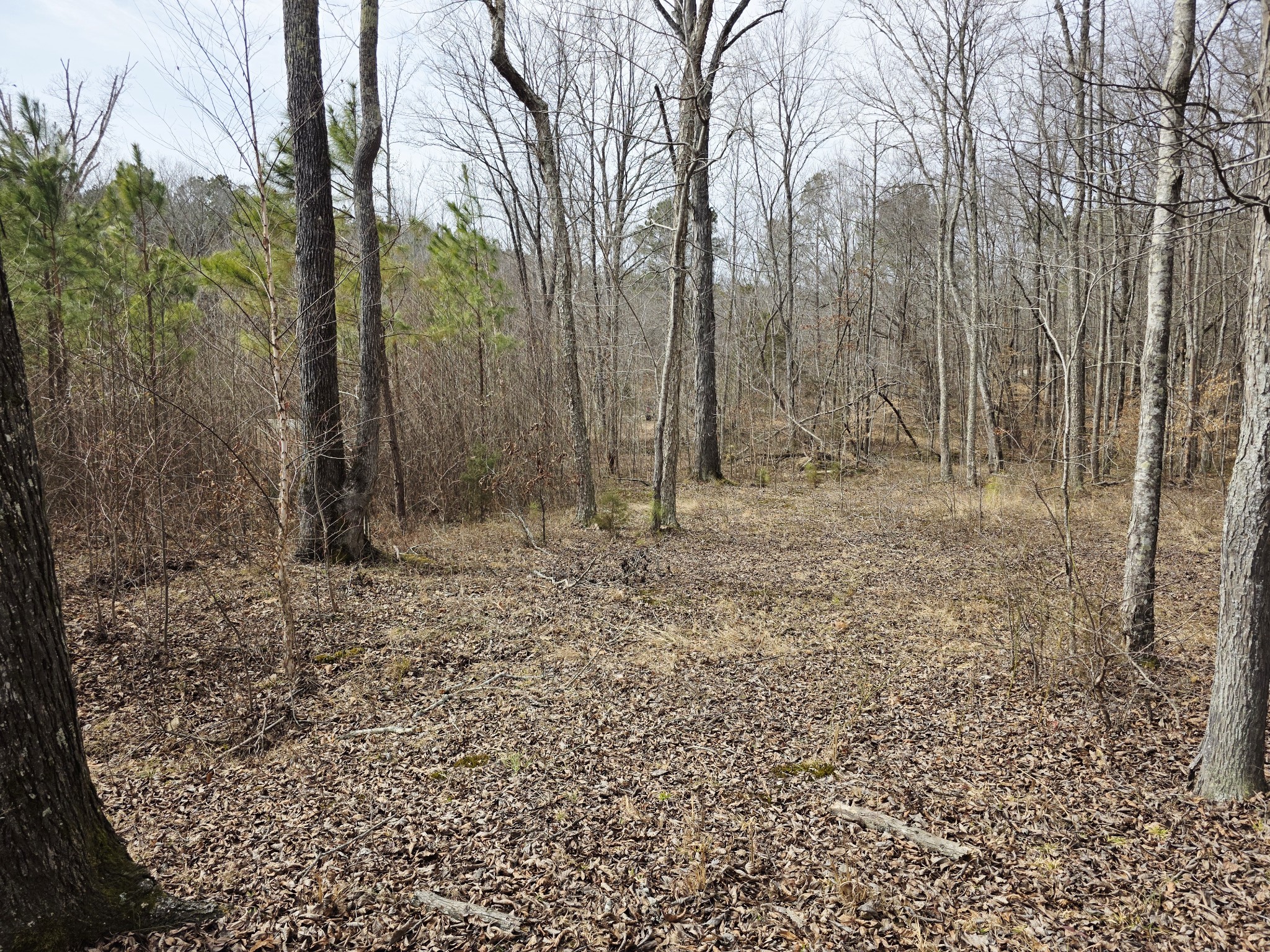 0 Birdsong Road Holladay, TN 38341 - Photo 27 of 70