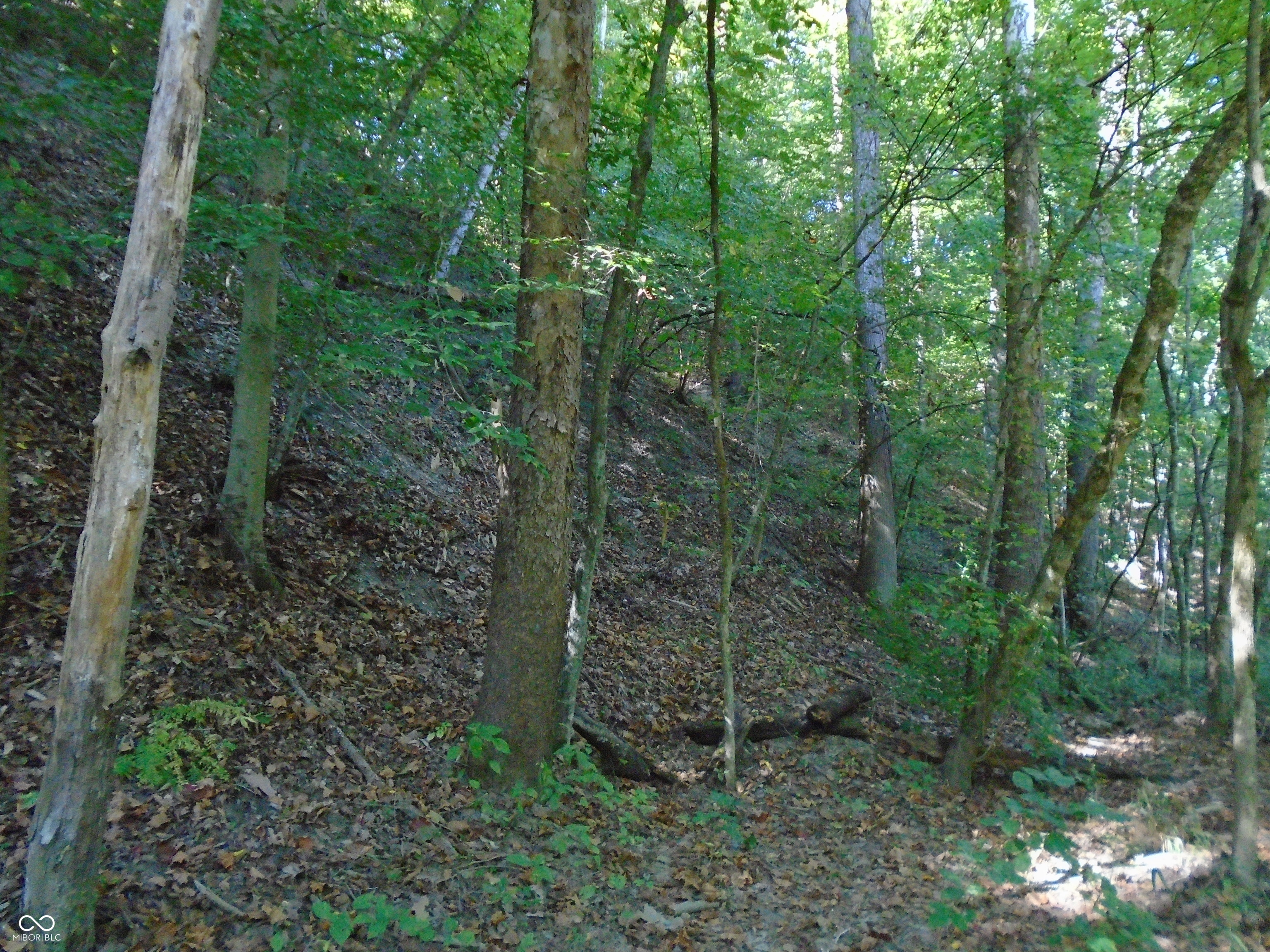 5245 Upper Patton Park Road Martinsville, IN 46151 - Photo 11 of 28