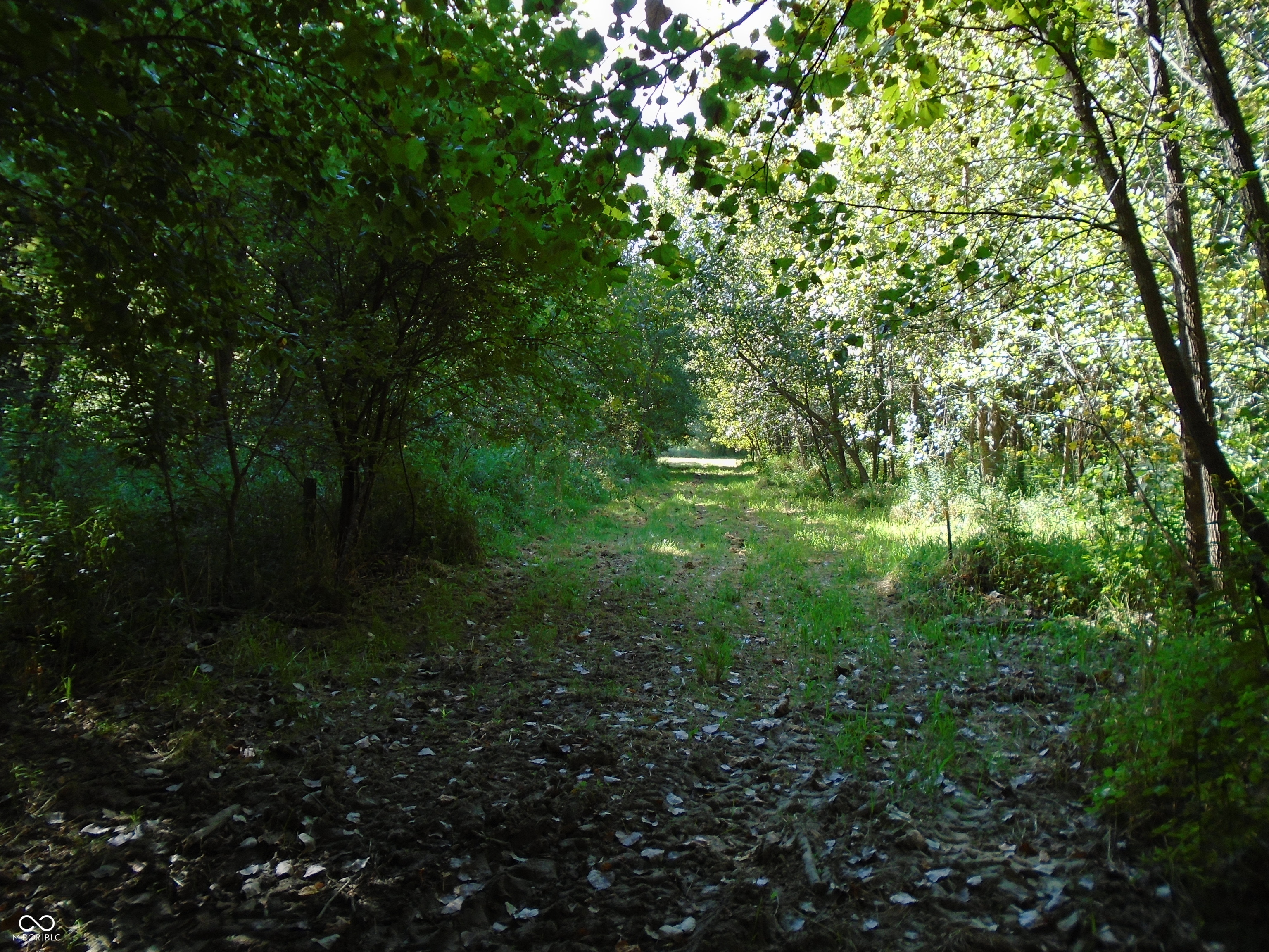 5245 Upper Patton Park Road Martinsville, IN 46151 - Photo 12 of 28