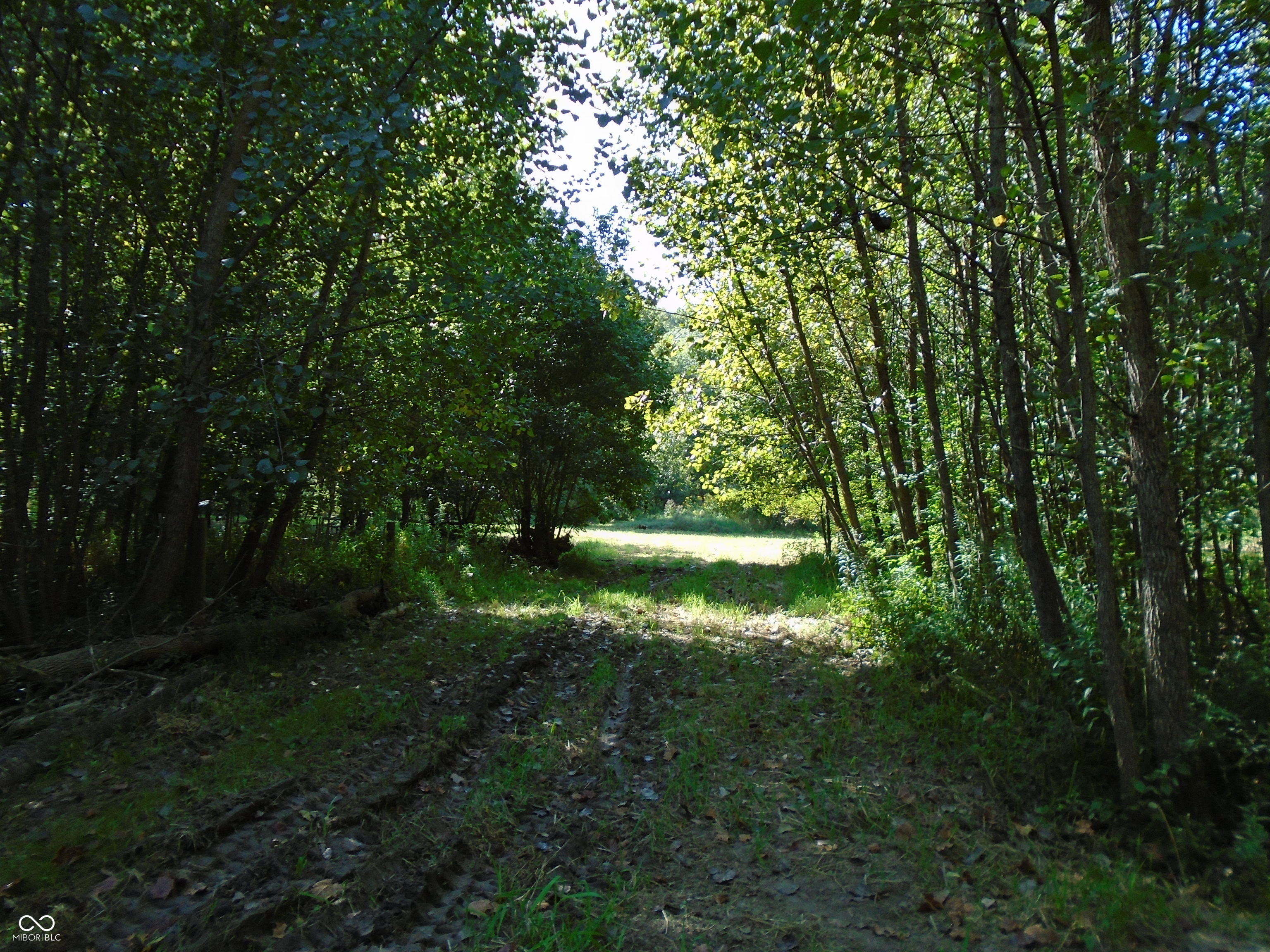 5245 Upper Patton Park Road Martinsville, IN 46151 - Photo 13 of 28