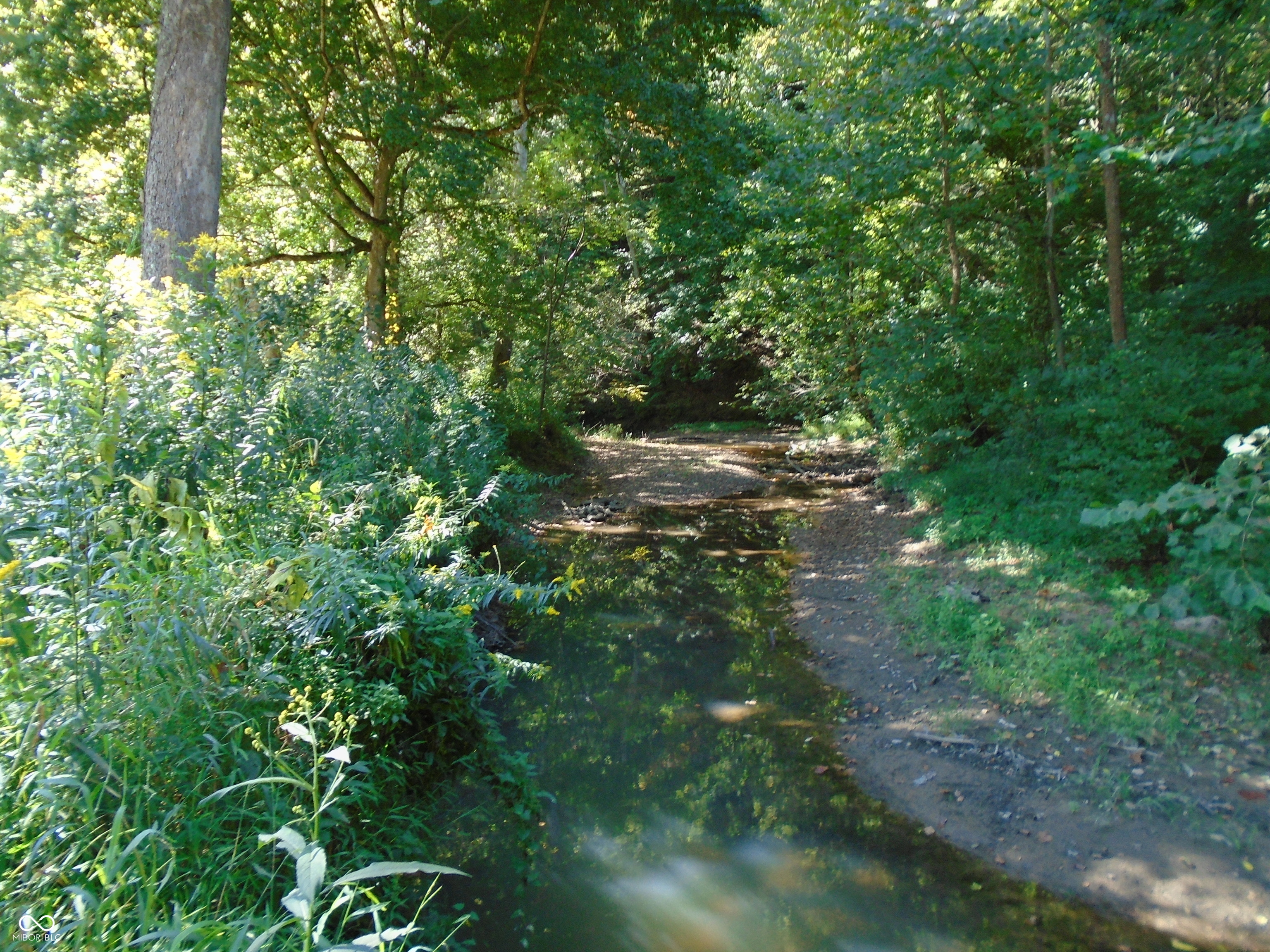 5245 Upper Patton Park Road Martinsville, IN 46151 - Photo 14 of 28