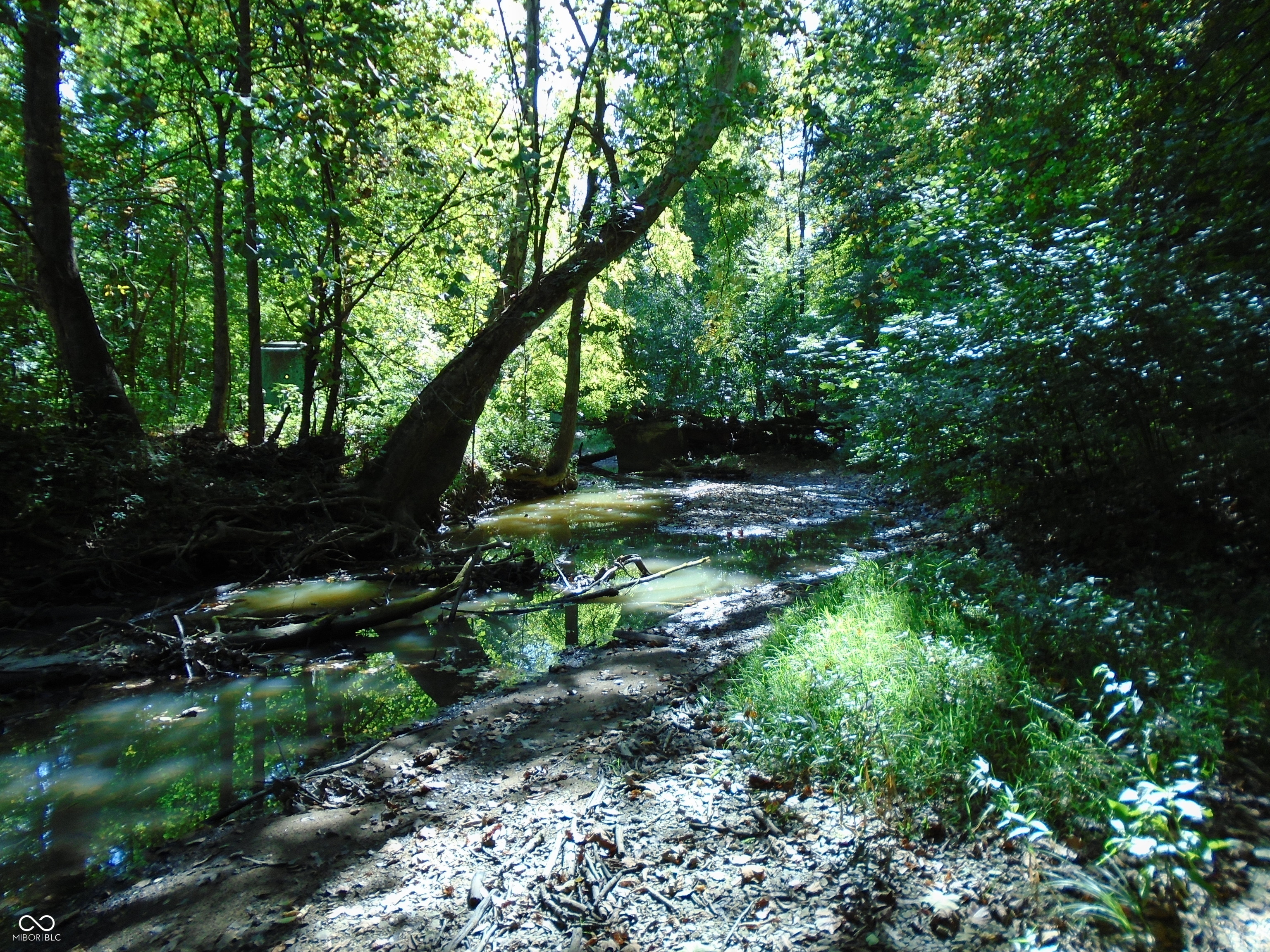 5245 Upper Patton Park Road Martinsville, IN 46151 - Photo 16 of 28