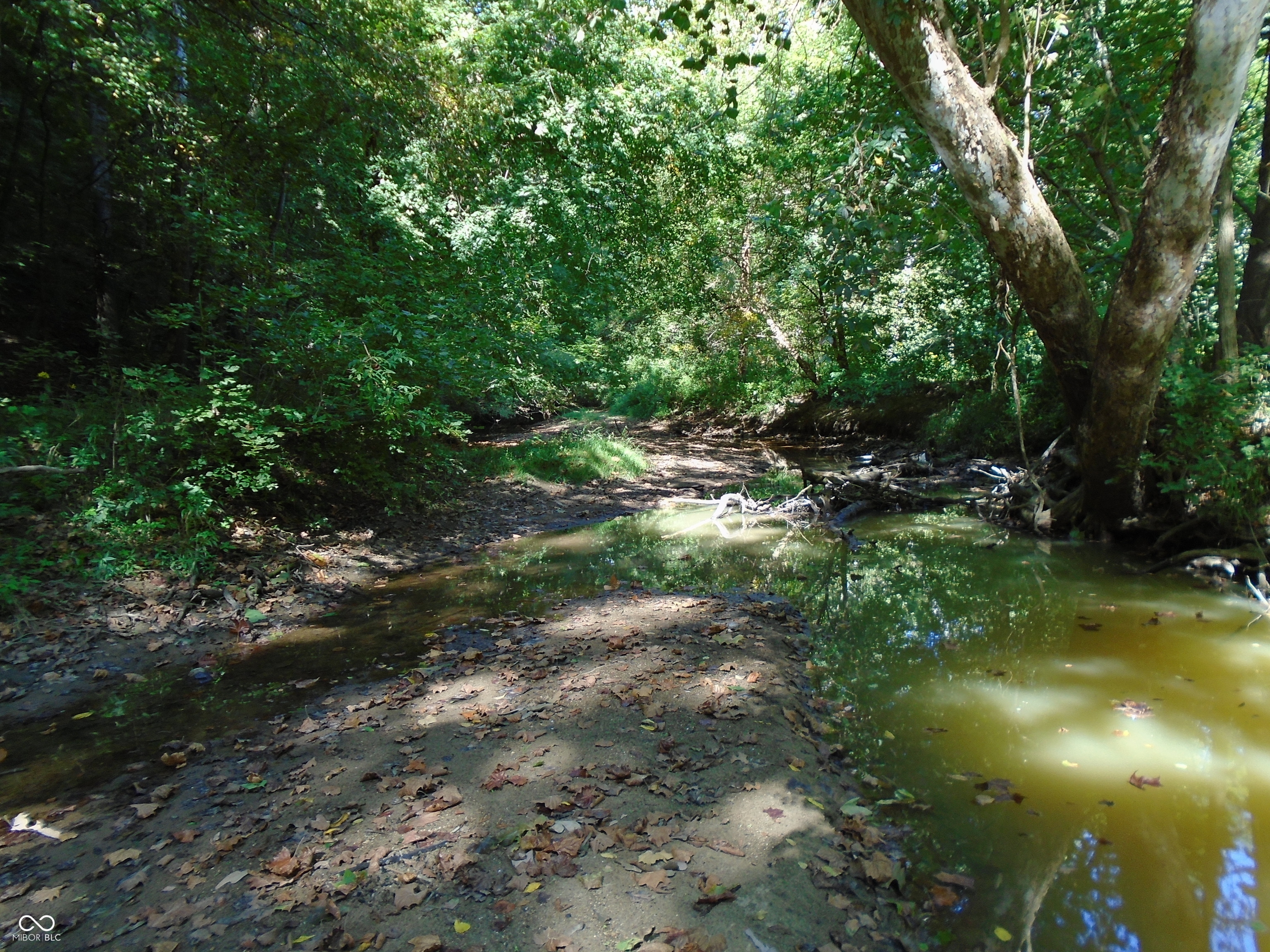 5245 Upper Patton Park Road Martinsville, IN 46151 - Photo 17 of 28