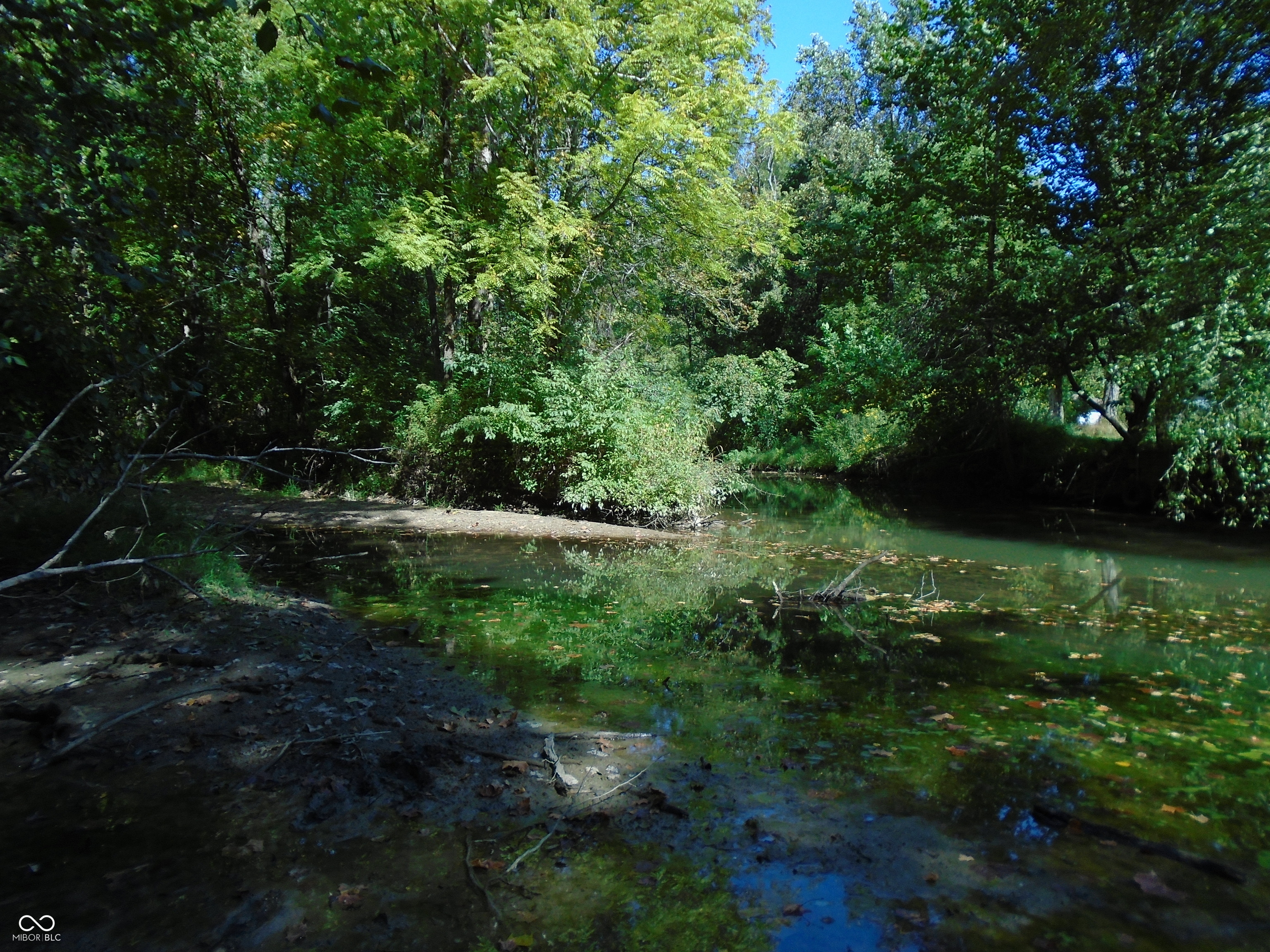 5245 Upper Patton Park Road Martinsville, IN 46151 - Photo 18 of 28