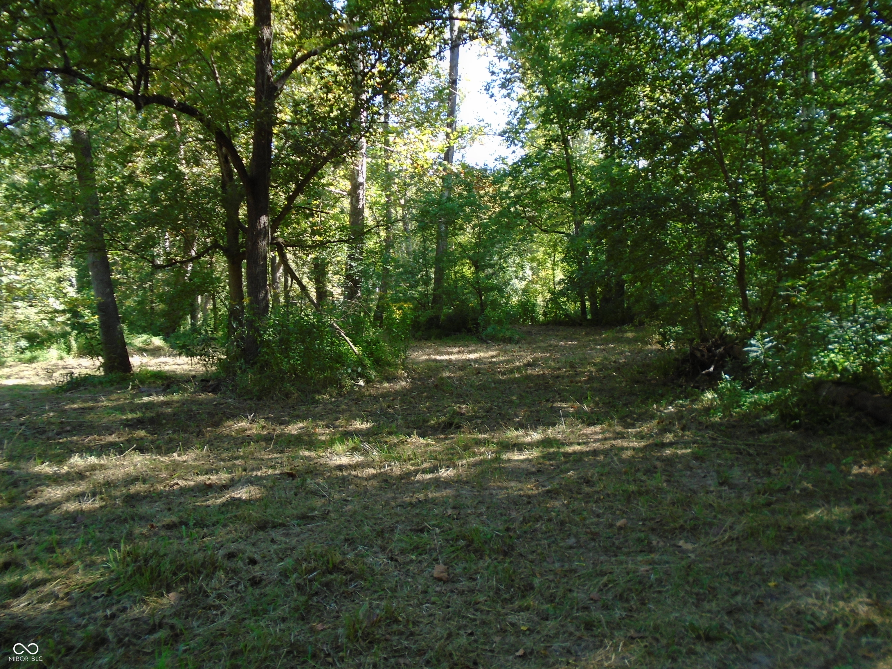 5245 Upper Patton Park Road Martinsville, IN 46151 - Photo 19 of 28