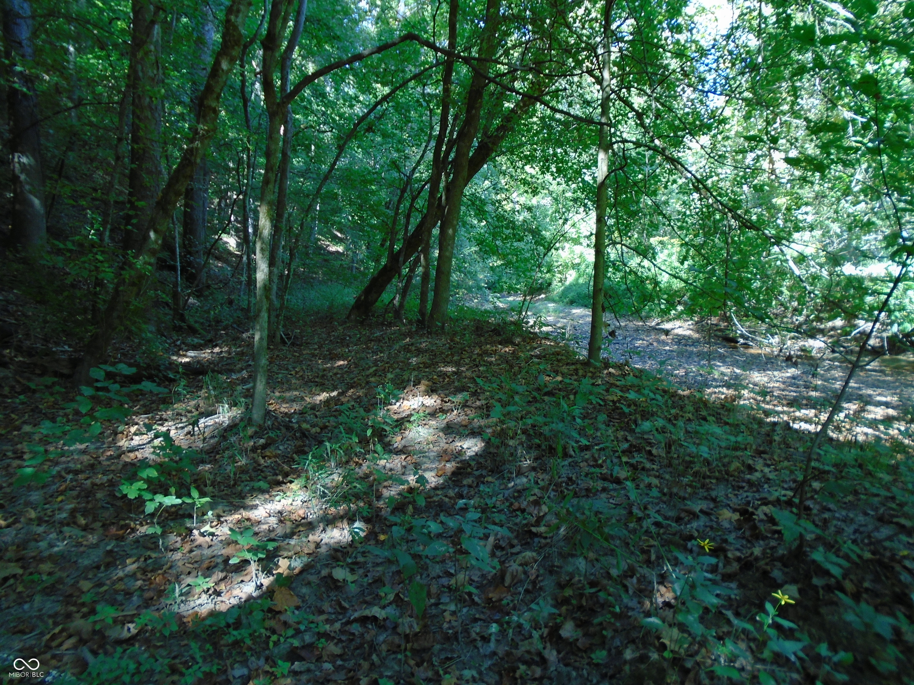 5245 Upper Patton Park Road Martinsville, IN 46151 - Photo 21 of 28