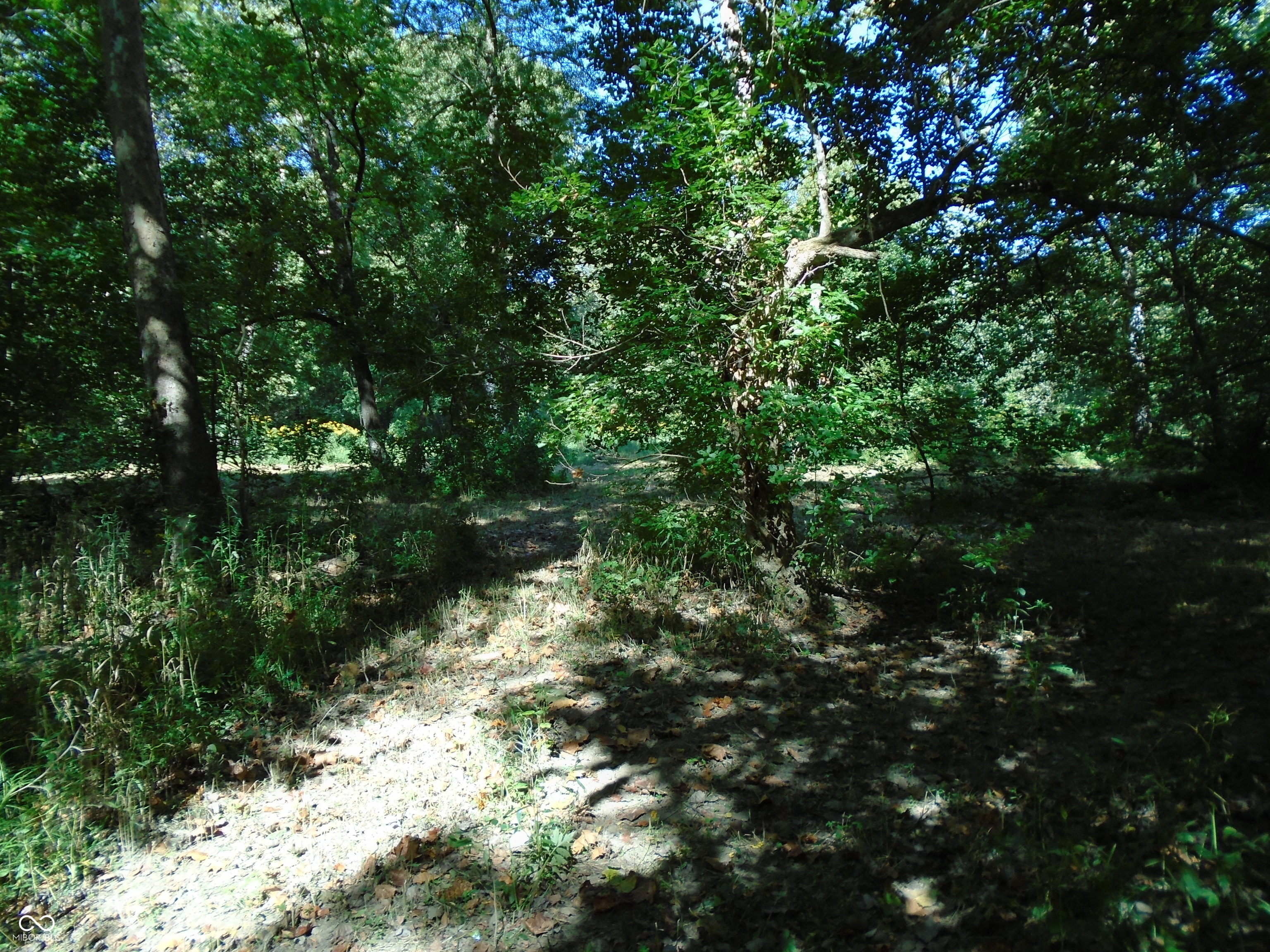 5245 Upper Patton Park Road Martinsville, IN 46151 - Photo 22 of 28