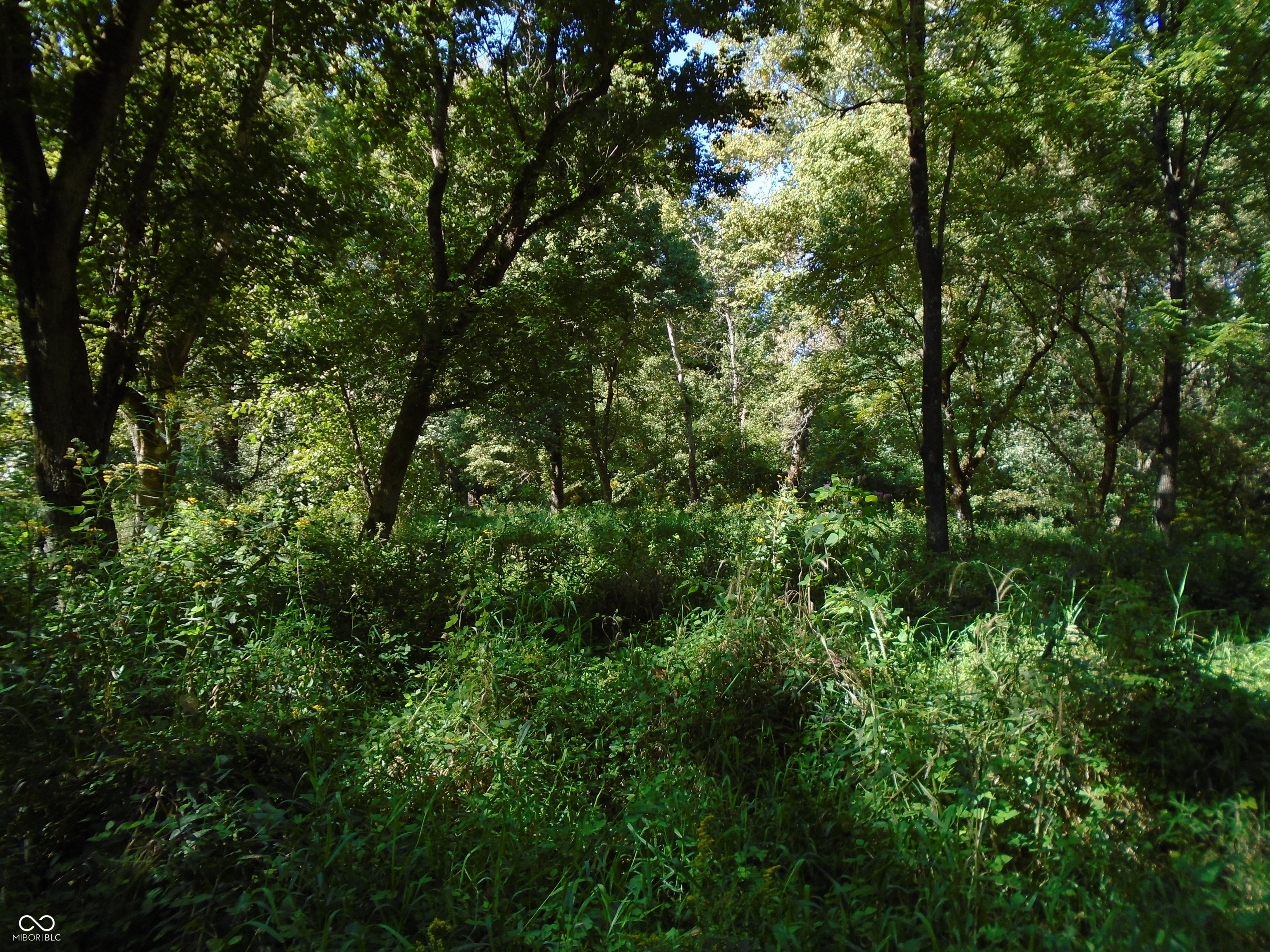 5245 Upper Patton Park Road Martinsville, IN 46151 - Photo 23 of 28