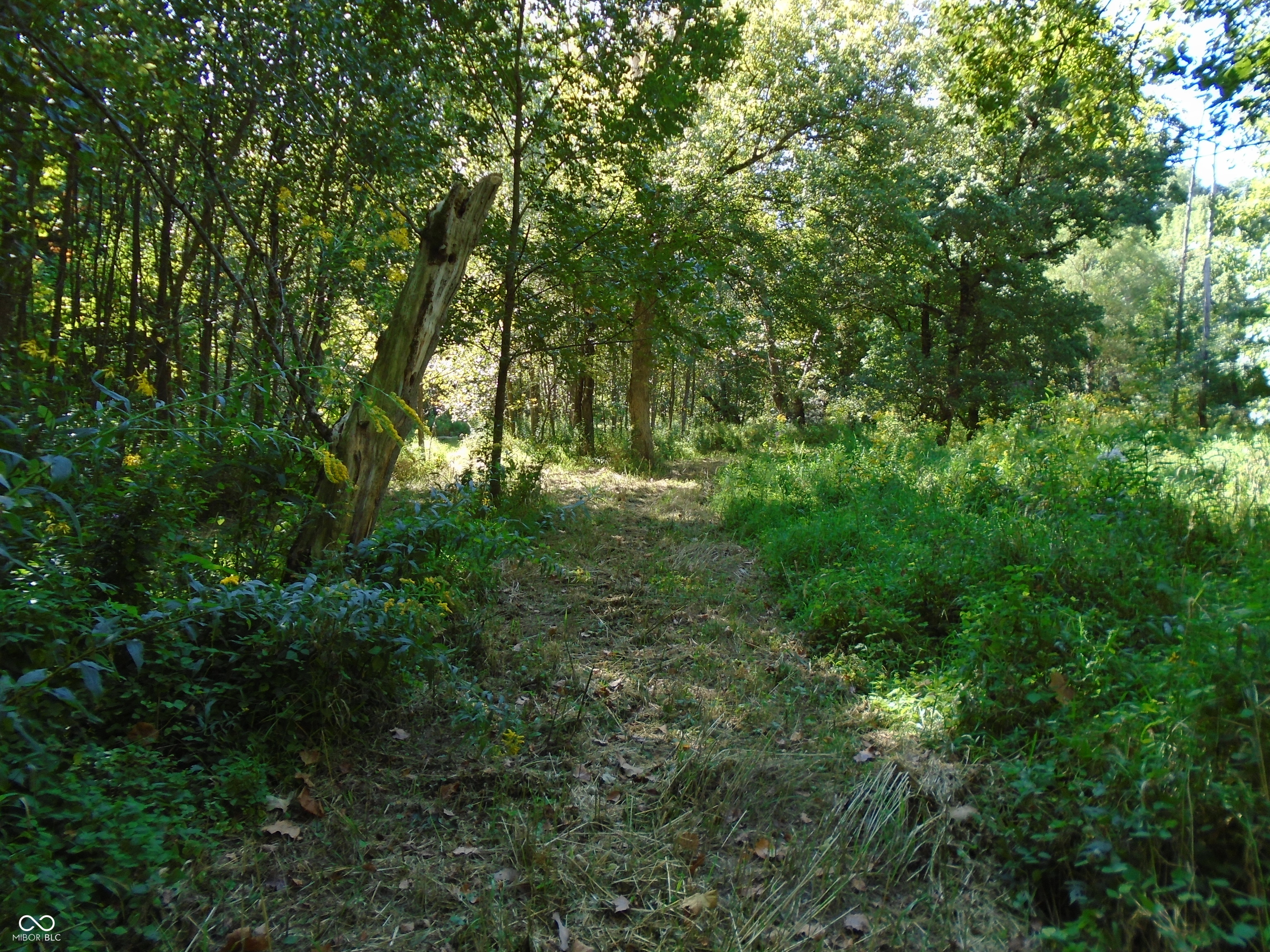 5245 Upper Patton Park Road Martinsville, IN 46151 - Photo 24 of 28