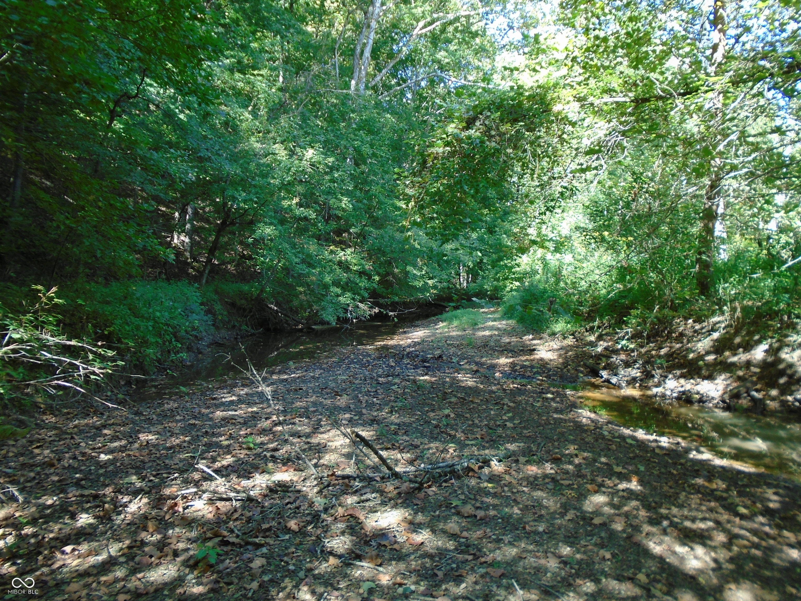 5245 Upper Patton Park Road Martinsville, IN 46151 - Photo 3 of 28