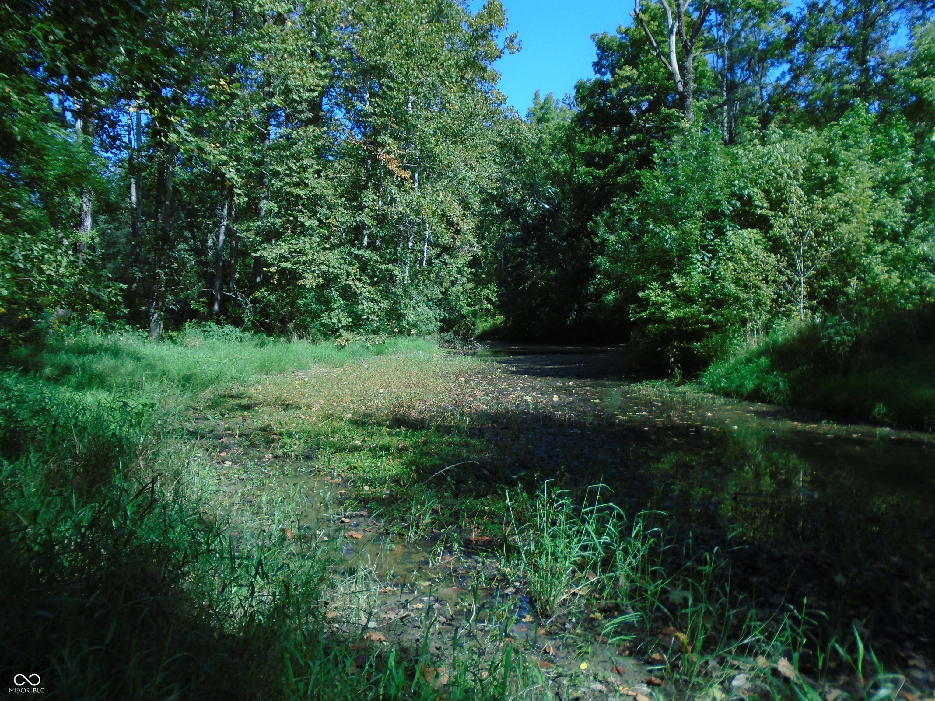 5245 Upper Patton Park Road Martinsville, IN 46151 - Photo 4 of 28