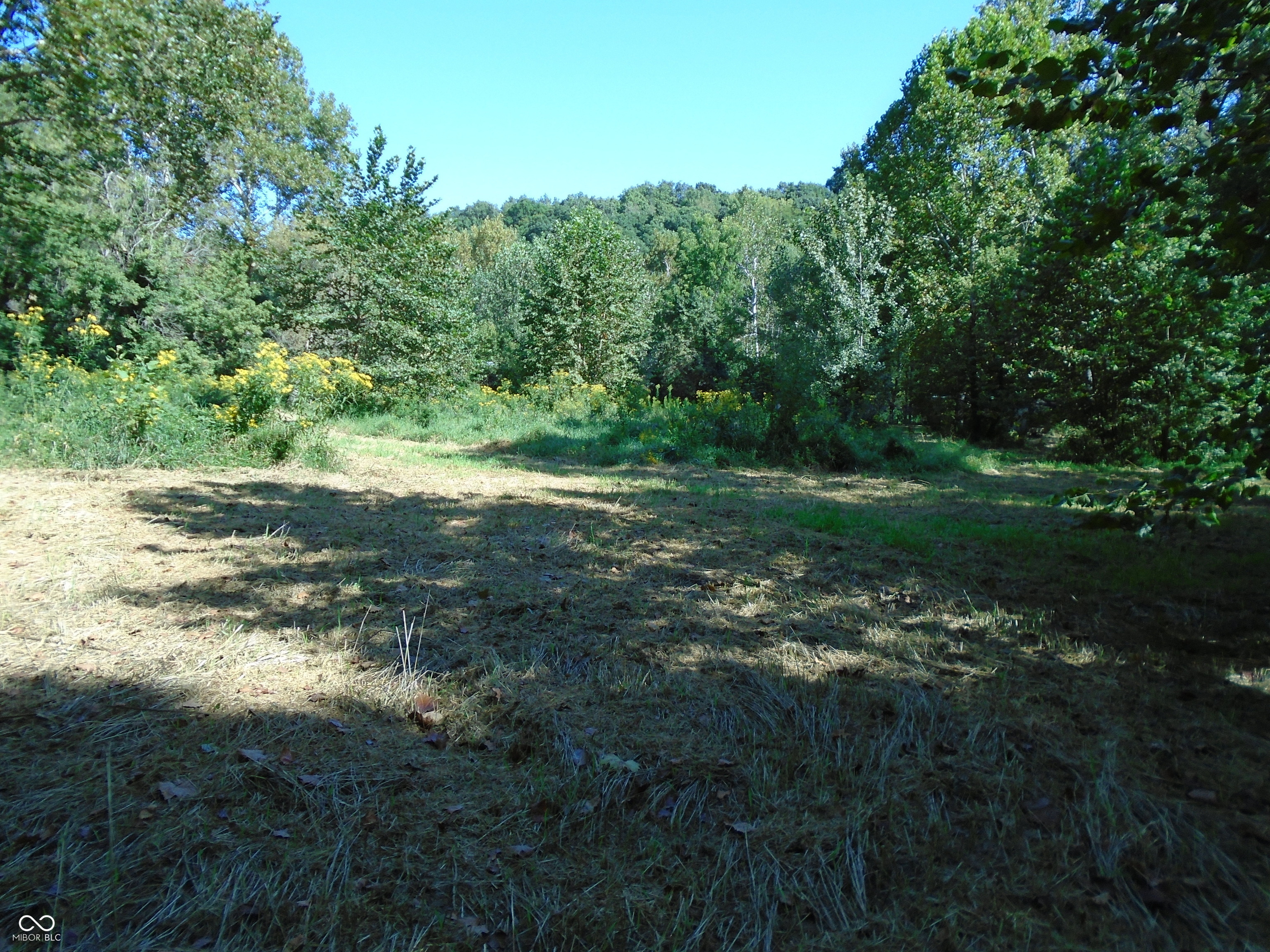 5245 Upper Patton Park Road Martinsville, IN 46151 - Photo 5 of 28