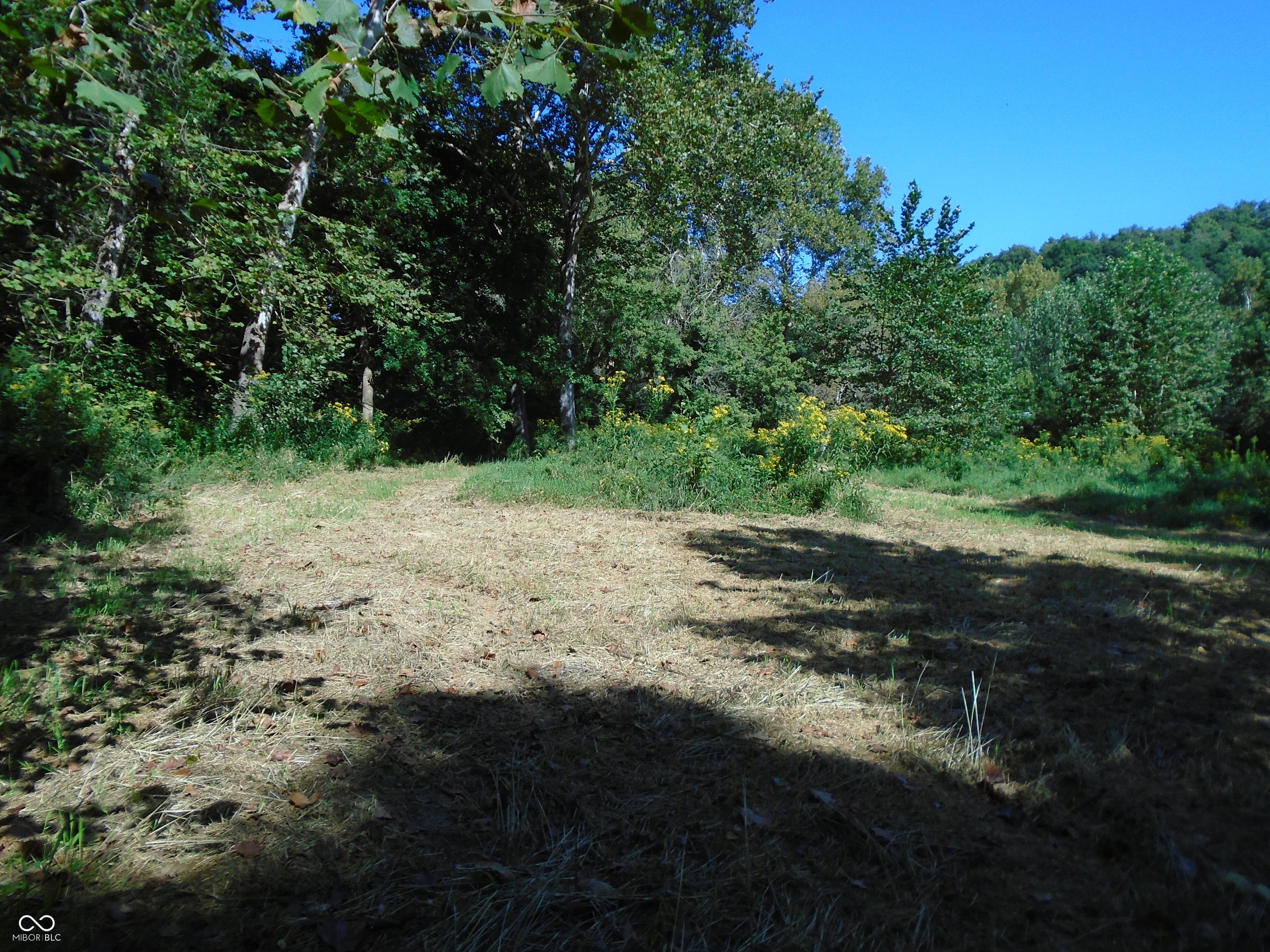 5245 Upper Patton Park Road Martinsville, IN 46151 - Photo 6 of 28