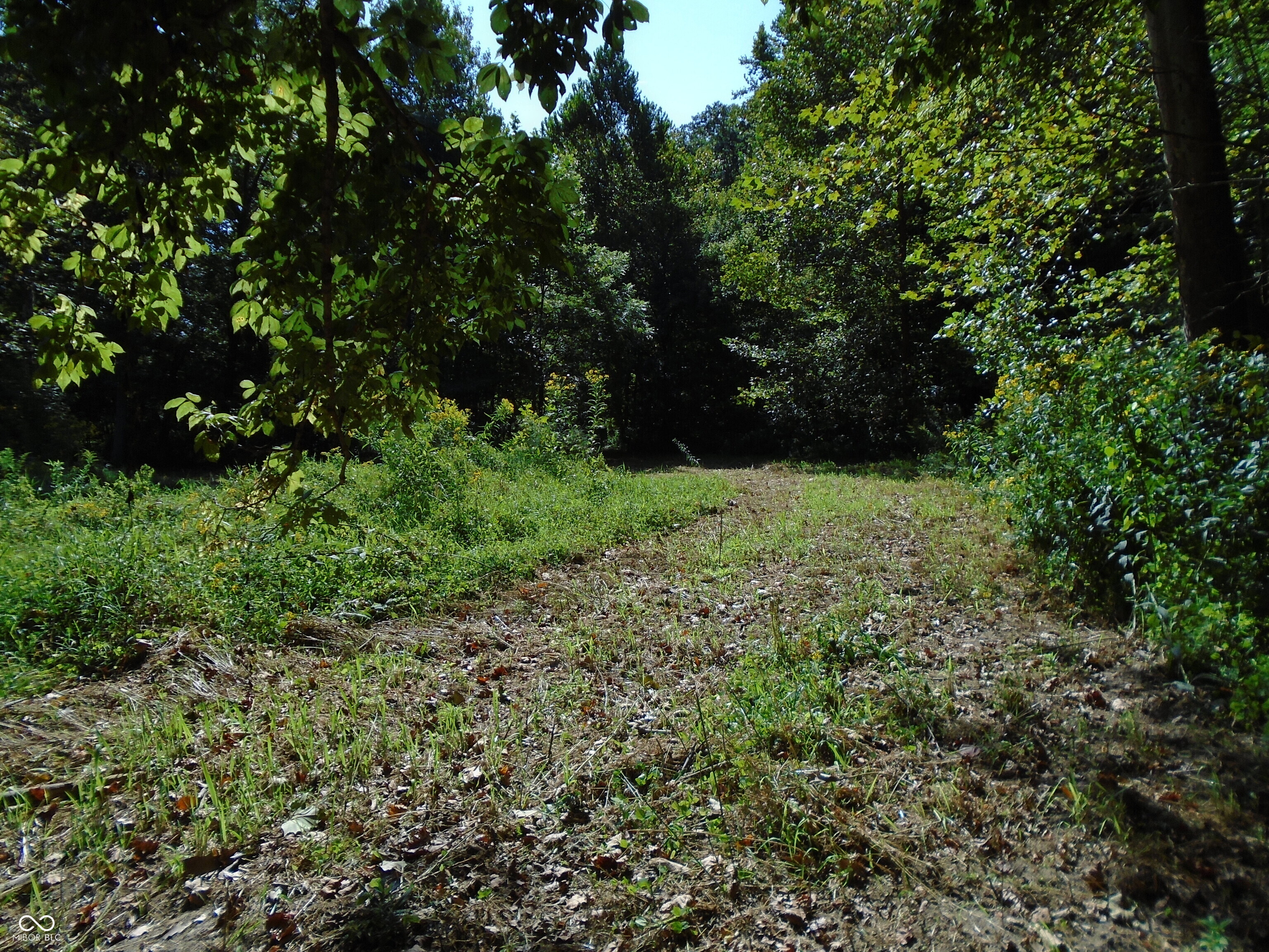 5245 Upper Patton Park Road Martinsville, IN 46151 - Photo 7 of 28