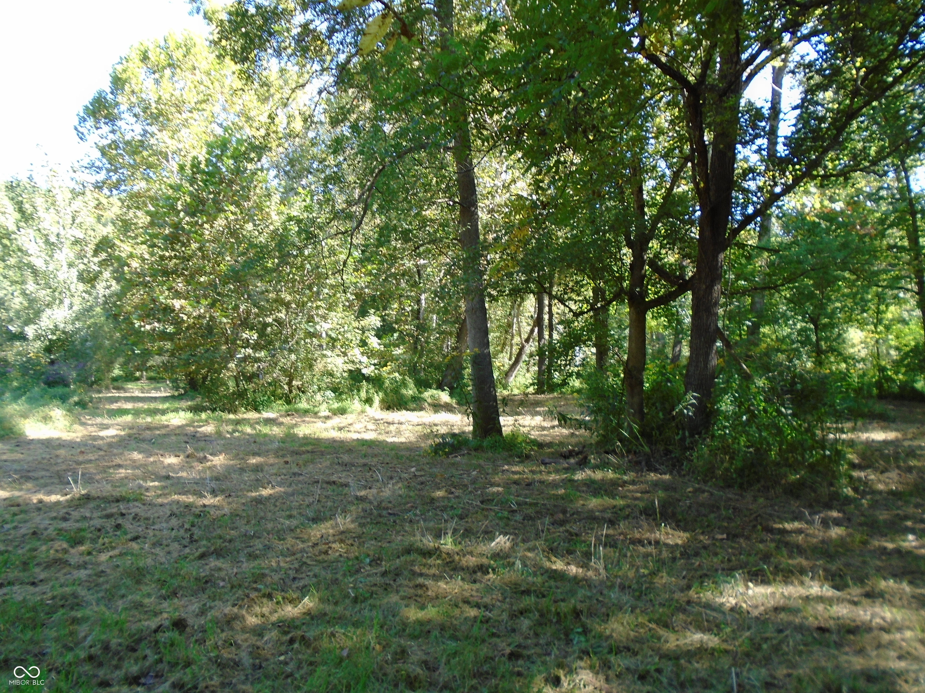 5245 Upper Patton Park Road Martinsville, IN 46151 - Photo 8 of 28