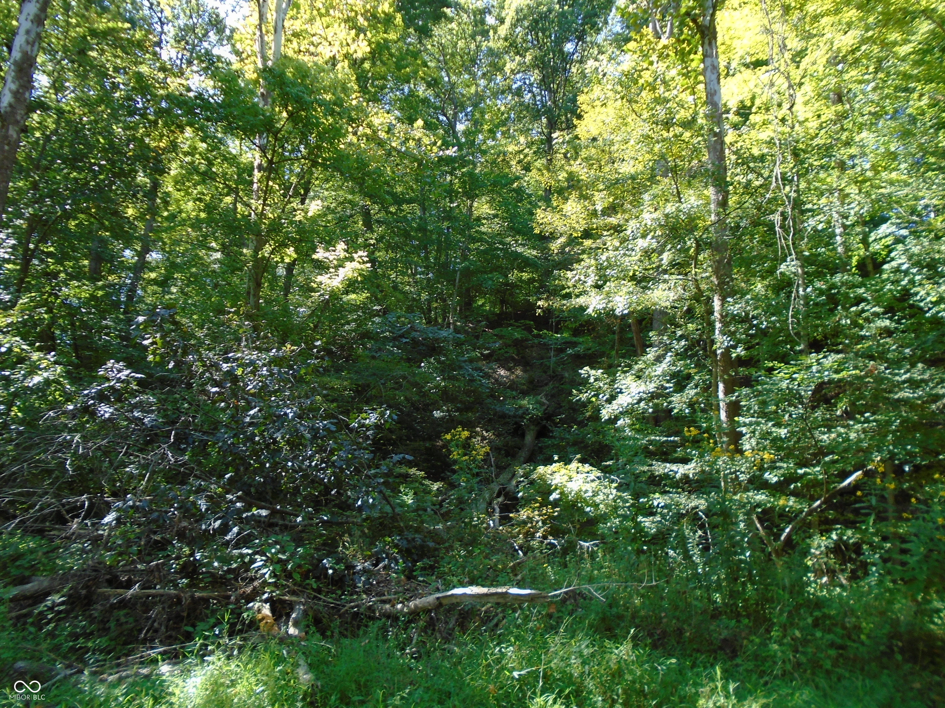 5245 Upper Patton Park Road Martinsville, IN 46151 - Photo 9 of 28