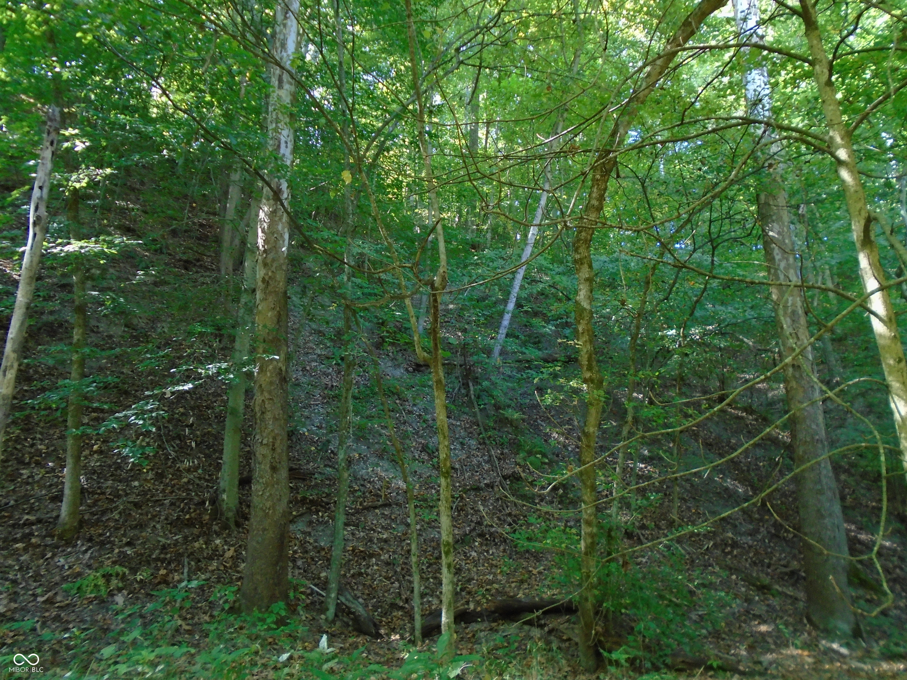 5245 Upper Patton Park Road Martinsville, IN 46151 - Photo 10 of 28