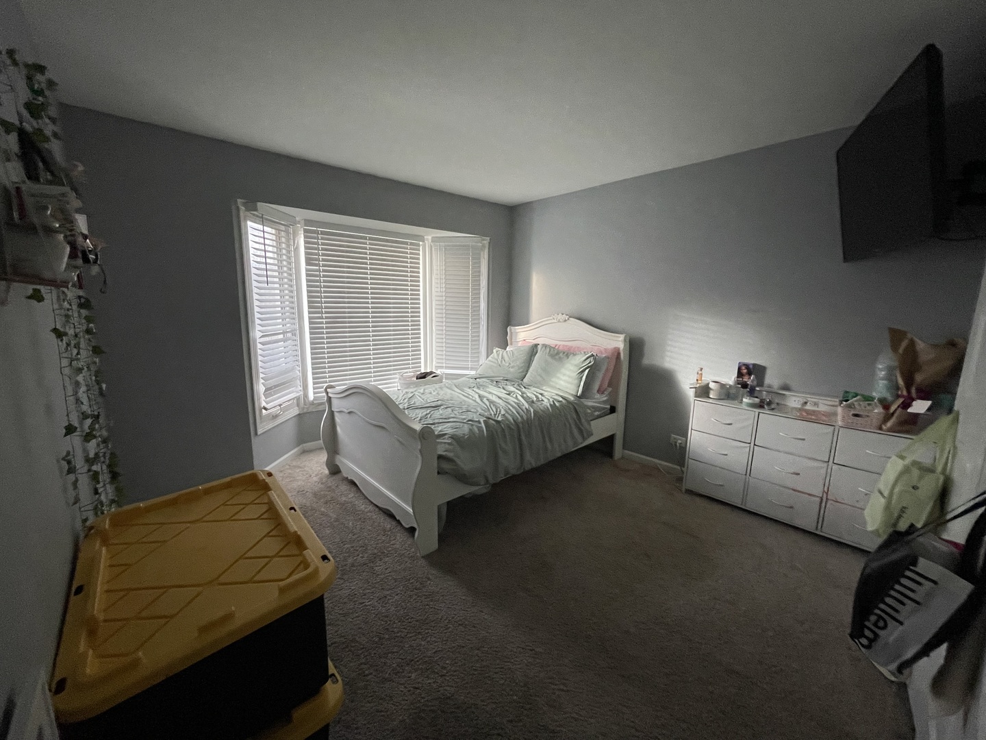 583 Norman Road Bolingbrook, IL 60440 - Photo 12 of 16