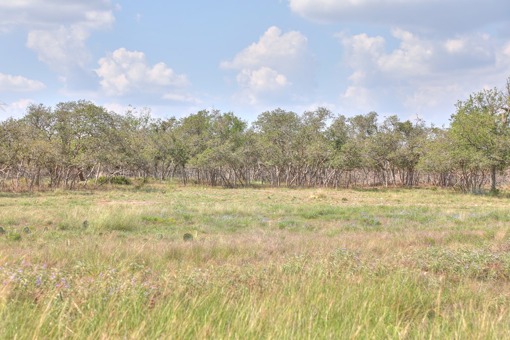 2546-2 Reservation Road Harper, TX 78631 - Photo 2 of 8
