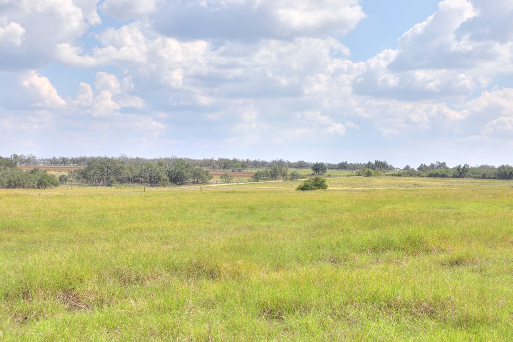 2546-2 Reservation Road Harper, TX 78631 - Photo 3 of 8