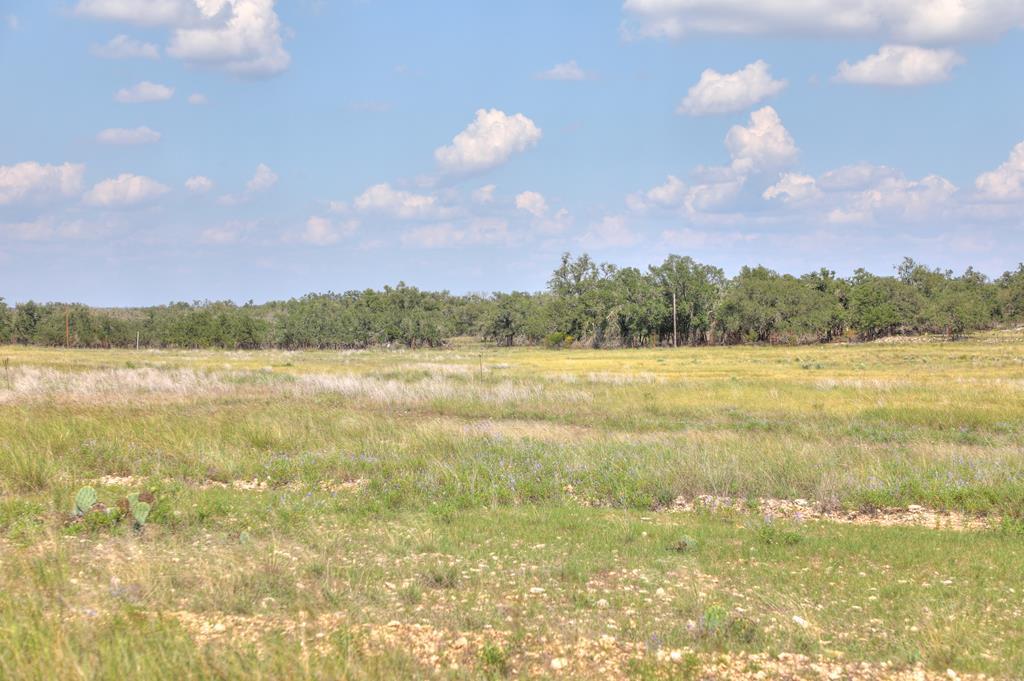 2546-2 Reservation Road Harper, TX 78631 - Photo 4 of 8