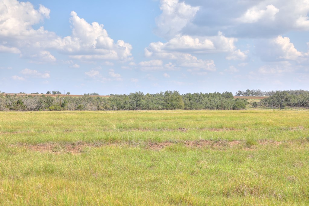 2546-2 Reservation Road Harper, TX 78631 - Photo 5 of 8