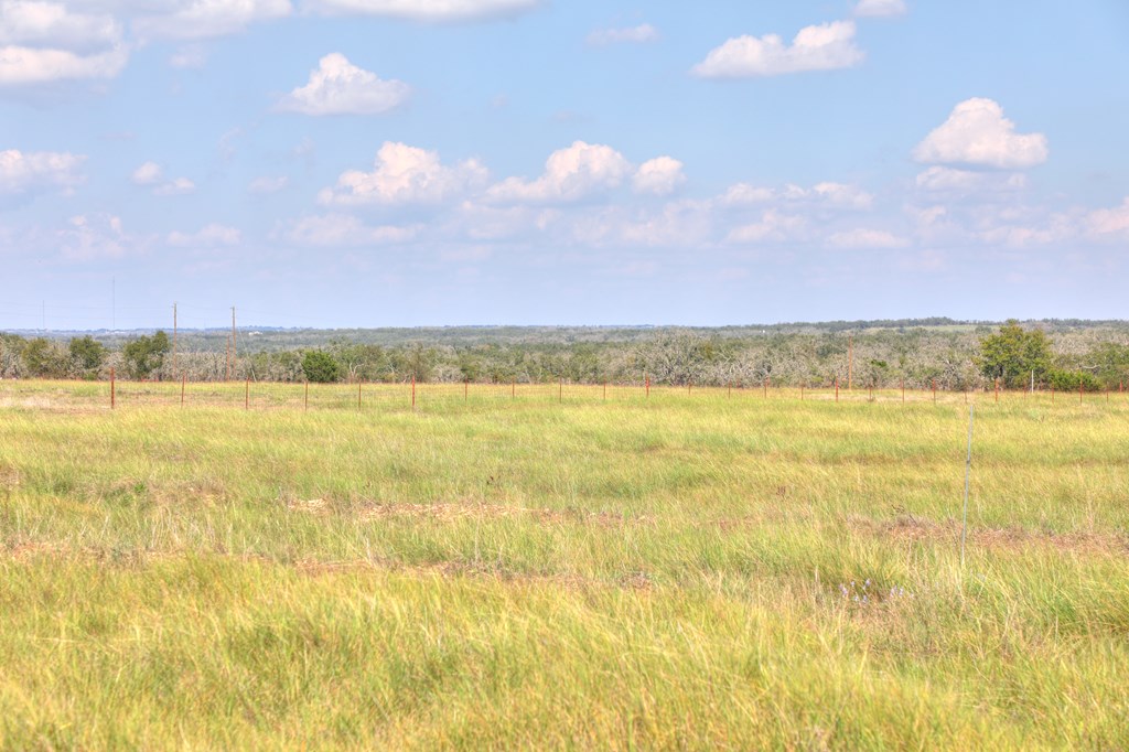 2546-2 Reservation Road Harper, TX 78631 - Photo 6 of 8