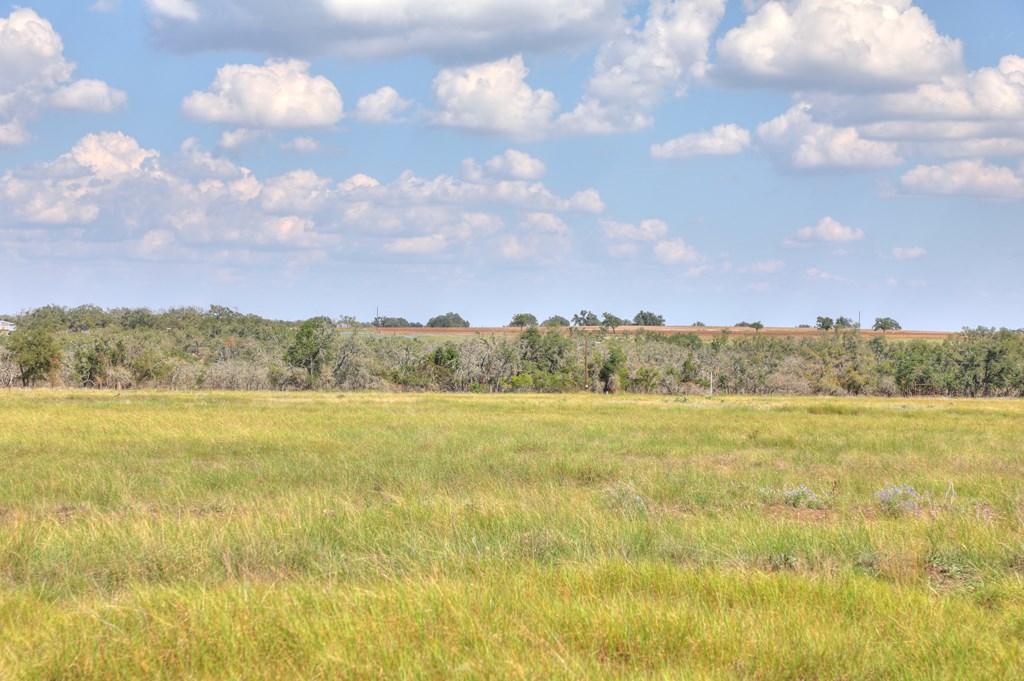 2546-2 Reservation Road Harper, TX 78631 - Photo 7 of 8