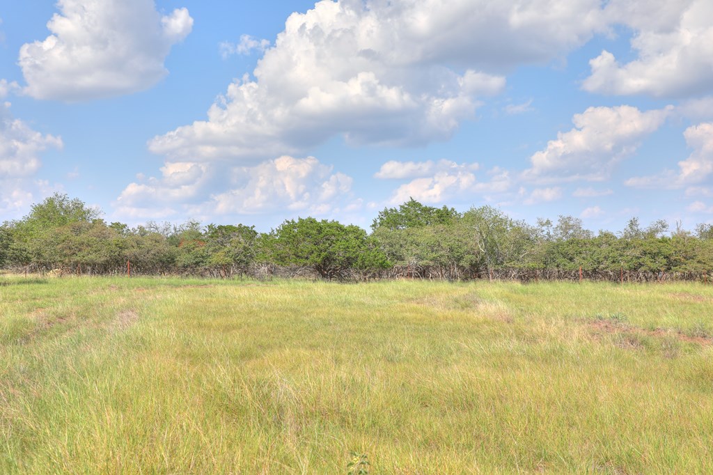 2546-2 Reservation Road Harper, TX 78631 - Photo 8 of 8