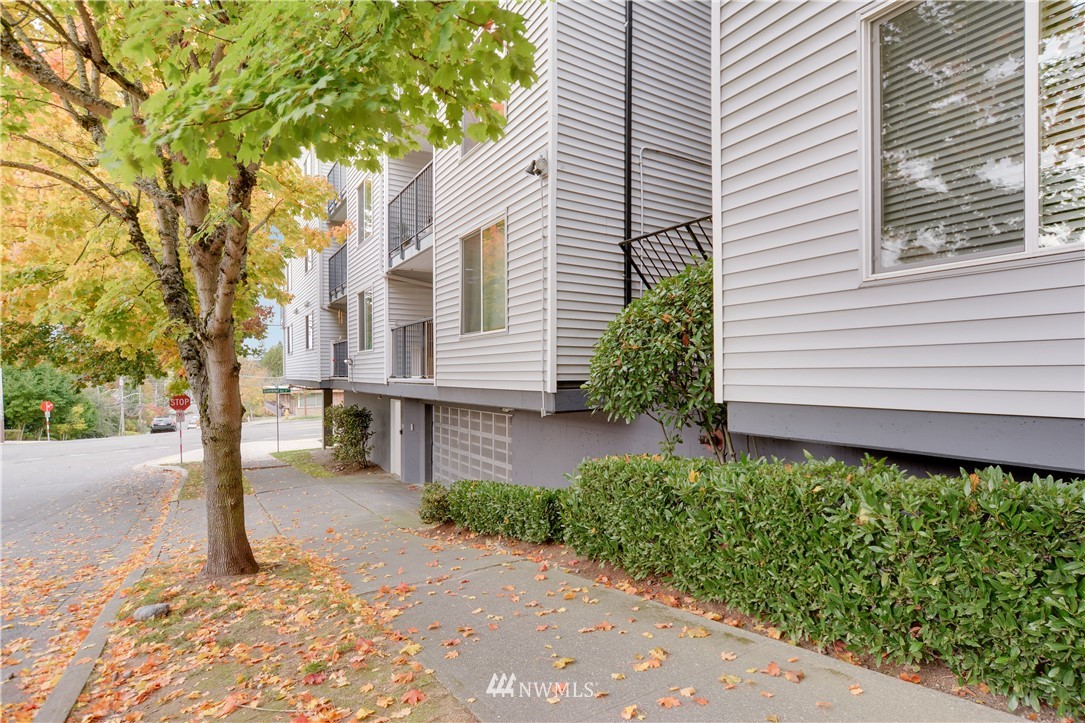 9200 Greenwood Avenue North, Unit 104 Seattle, WA 98103 - Photo 19 of 19 a view of a house with a yard and potted plants