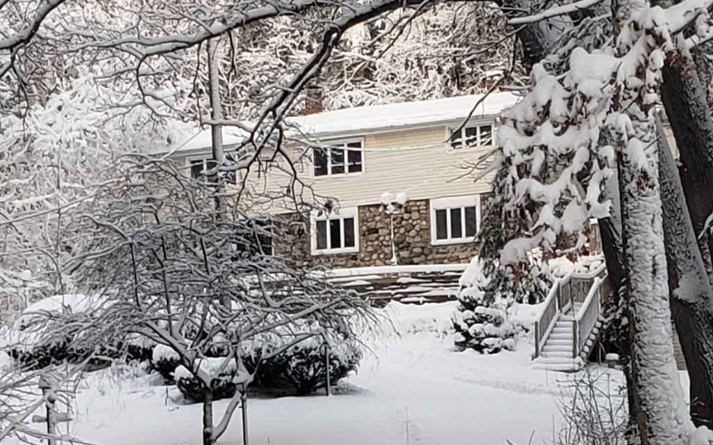 65 Shawsheen Road Billerica, MA 01821 - Photo 1 of 10 a view of back yard of the house