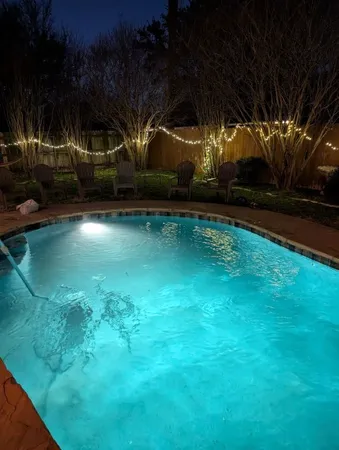 a view of a backyard with plants