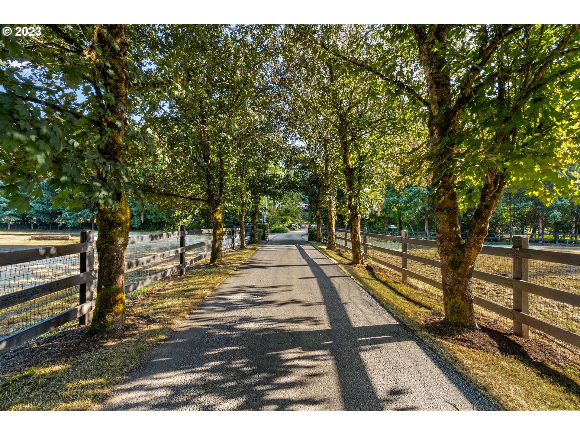 25604 Northeast Manley Road Battle Ground, WA 98604 - Photo 2 of 48 a view of yard with trees