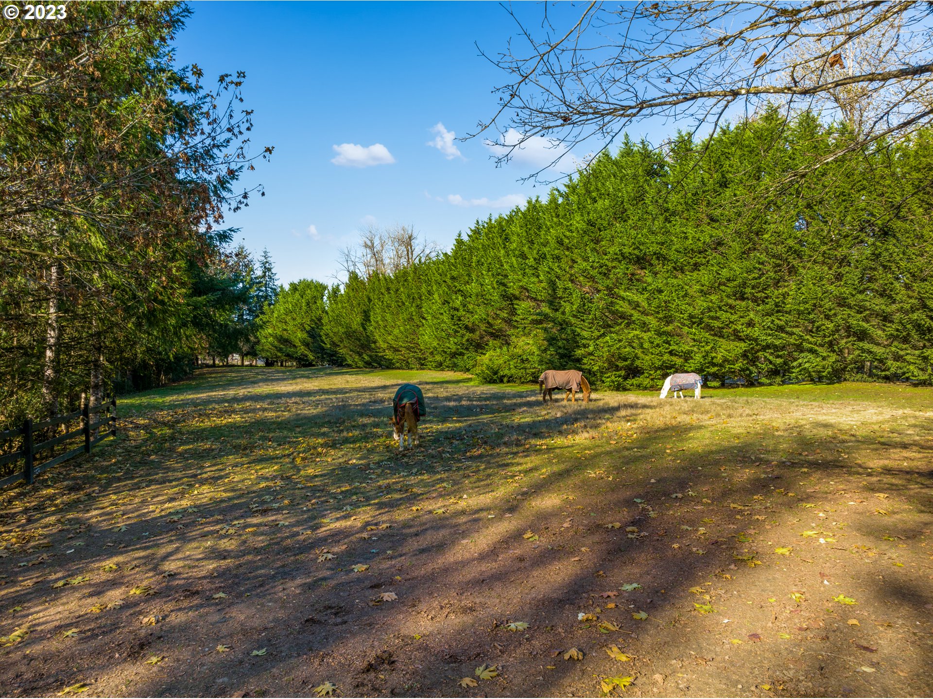 25604 Northeast Manley Road Battle Ground, WA 98604 - Photo 45 of 48 a view of a yard