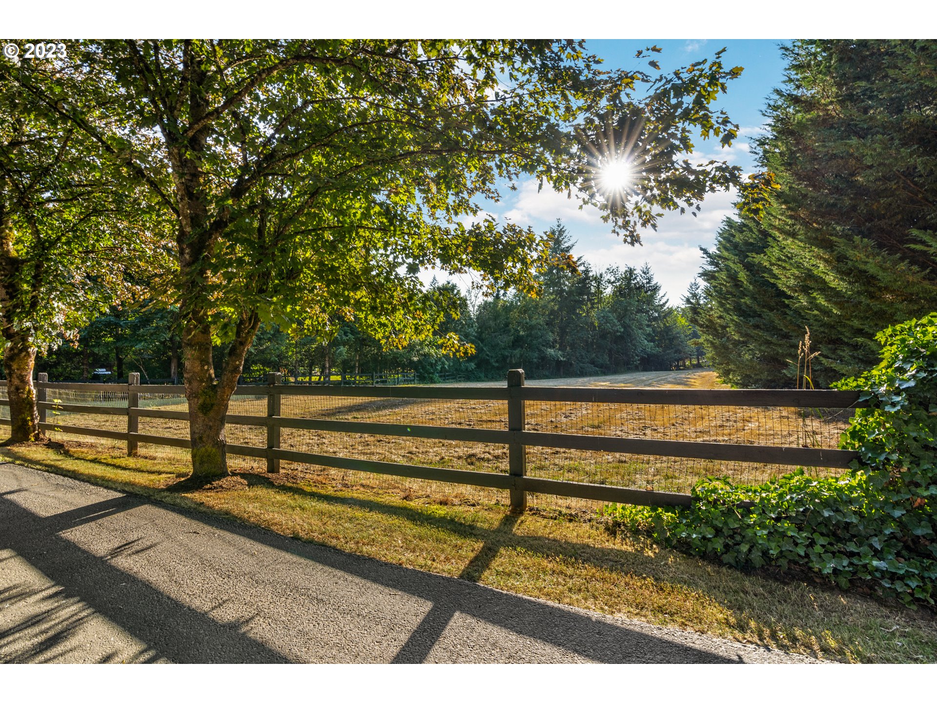 25604 Northeast Manley Road Battle Ground, WA 98604 - Photo 5 of 48 a view of mountain with wooden deck