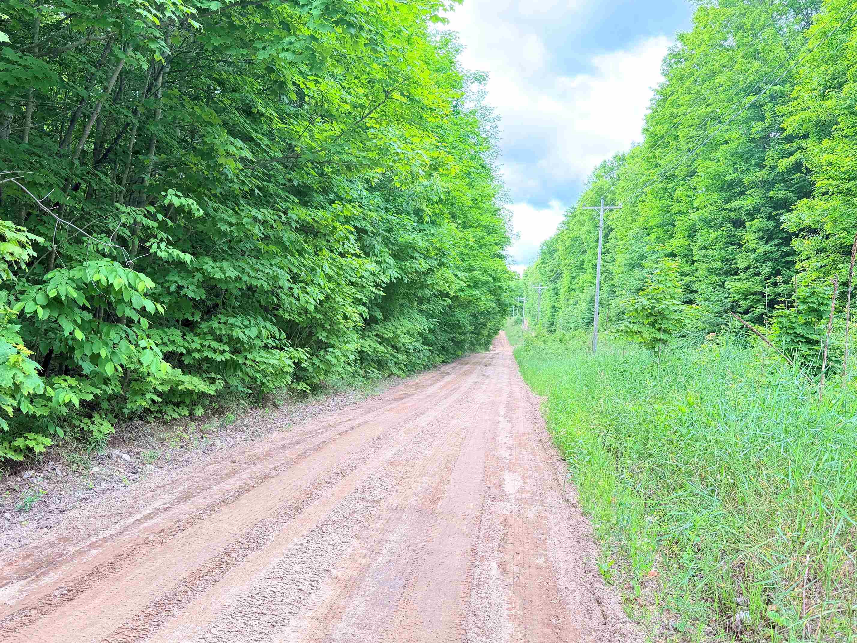 5020 Satterly Lake Road Mancelona, MI 49659 - Photo 35 of 61