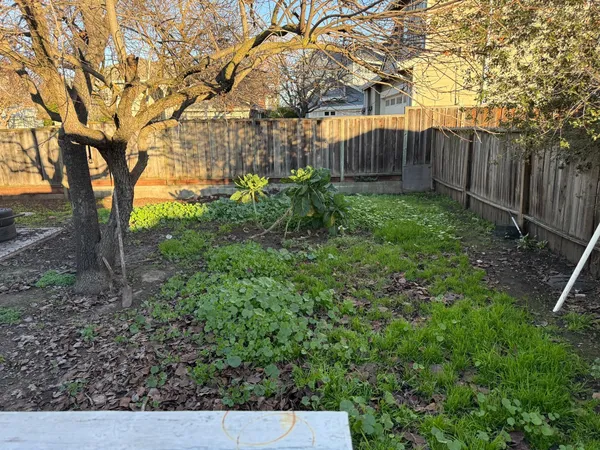 a backyard of a house with lots of plants and trees